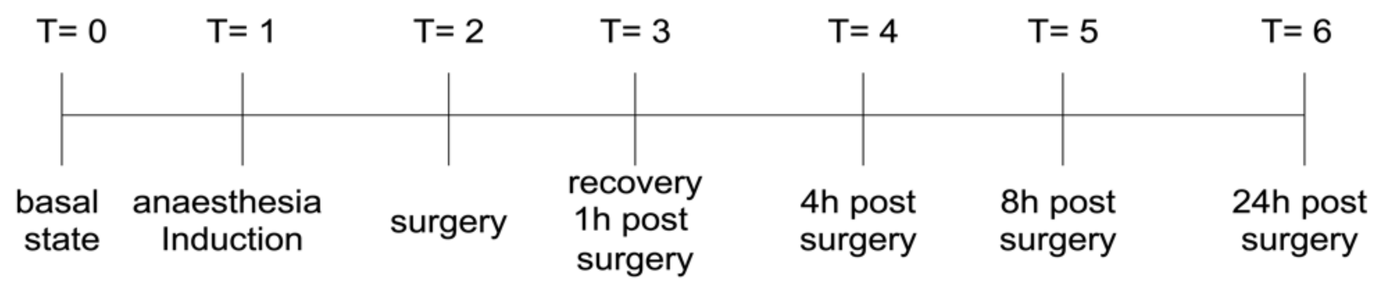 Vetsci 09 00664 g001 Vetsci 09 00664 g001