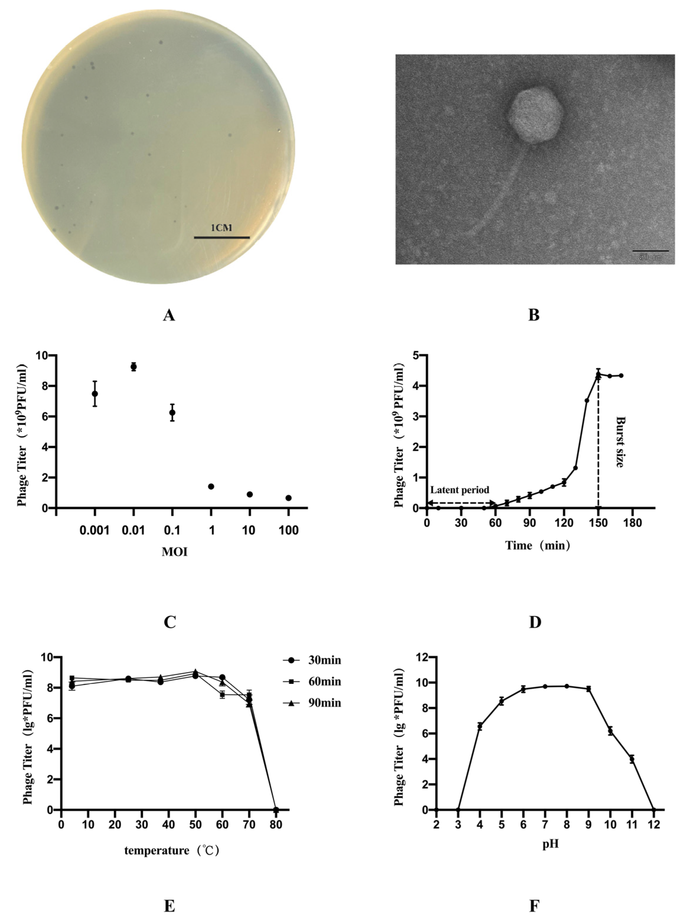 Vetsci 09 00675 g001