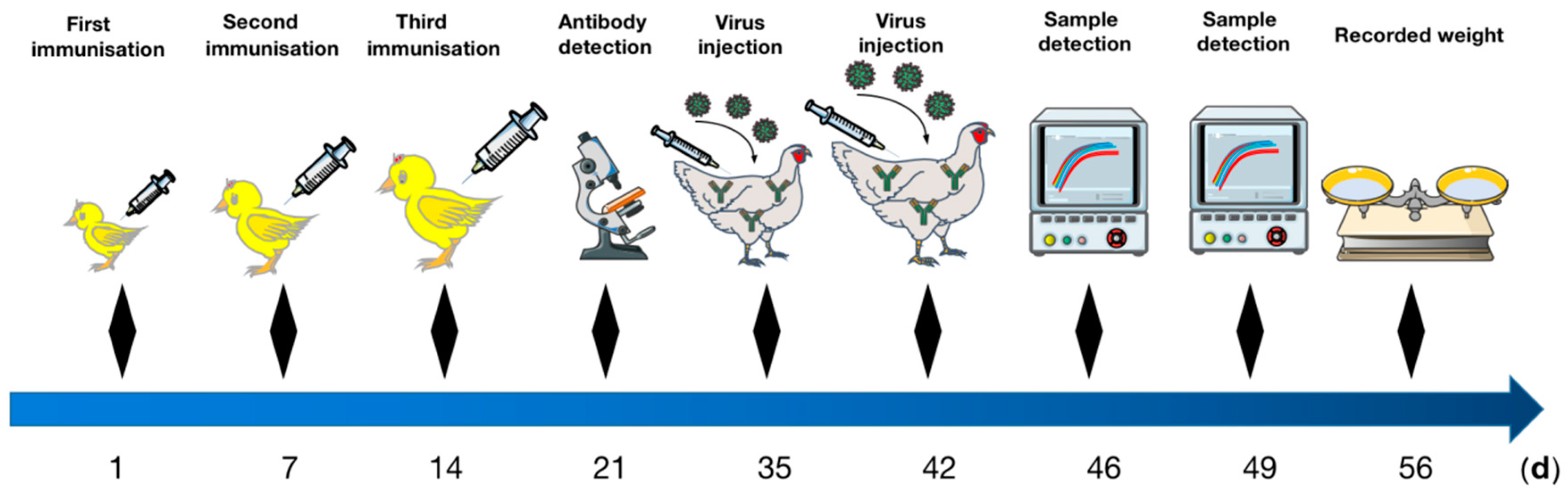 Vetsci 09 00676 g001