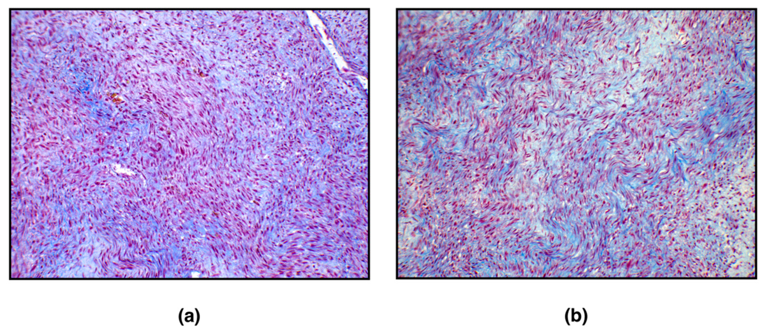 Vetsci 09 00702 g002 Vetsci 09 00702 g002