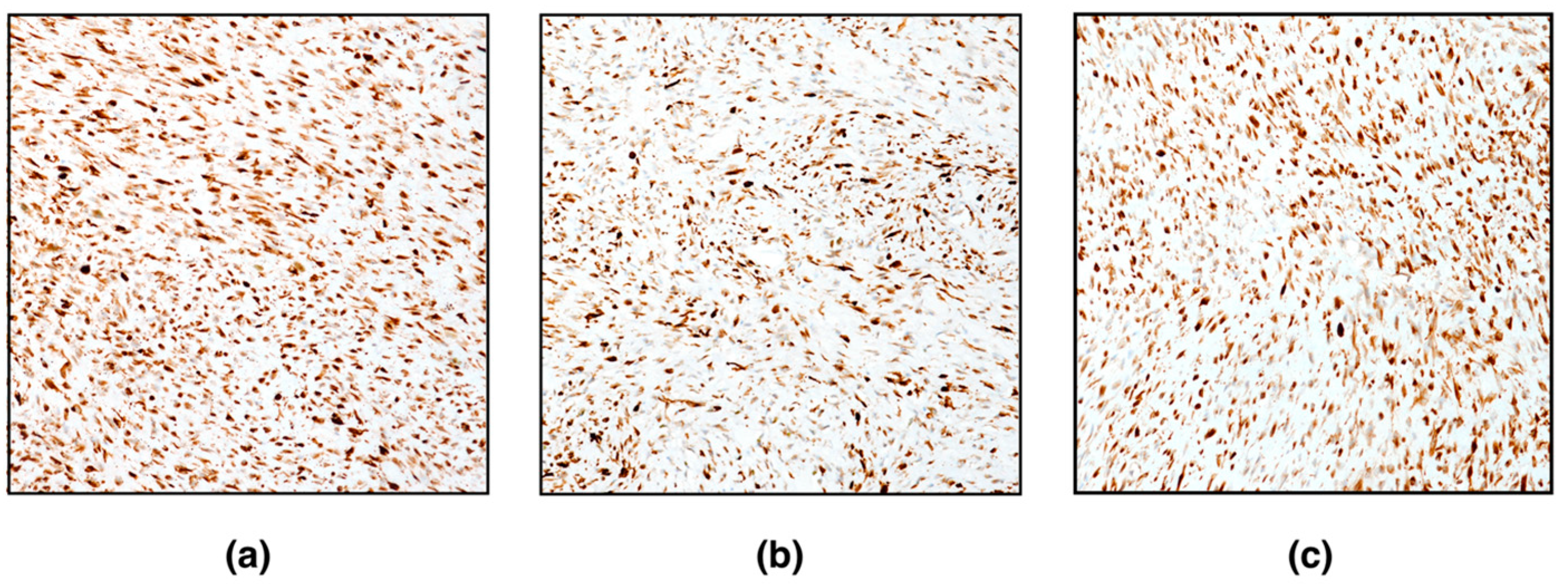 Vetsci 09 00702 g003 Vetsci 09 00702 g003