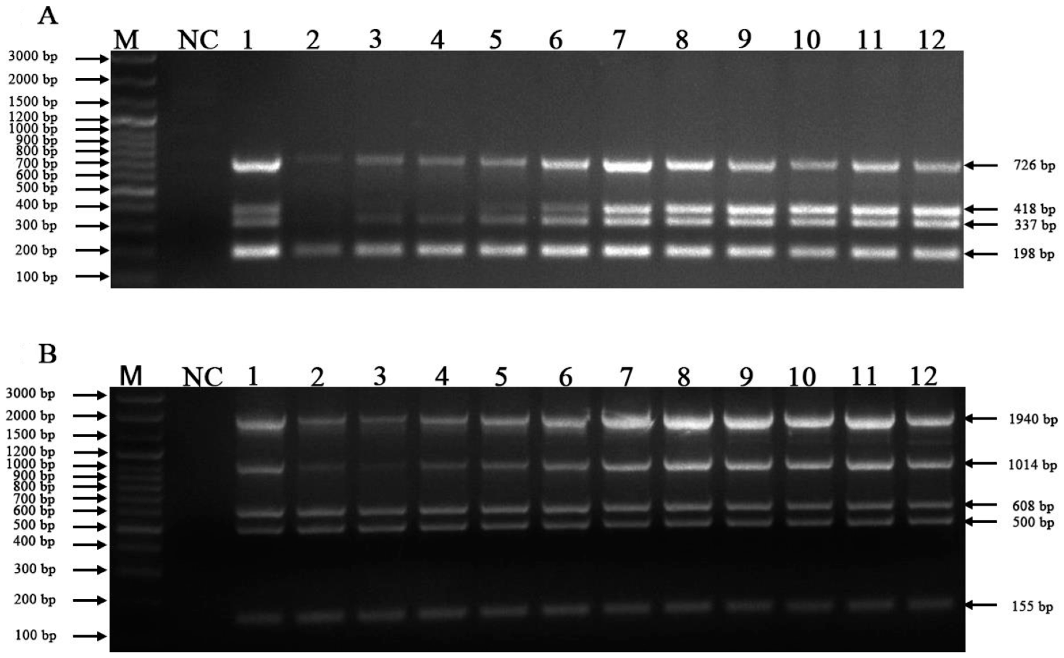 Vetsci 10 00014 g001