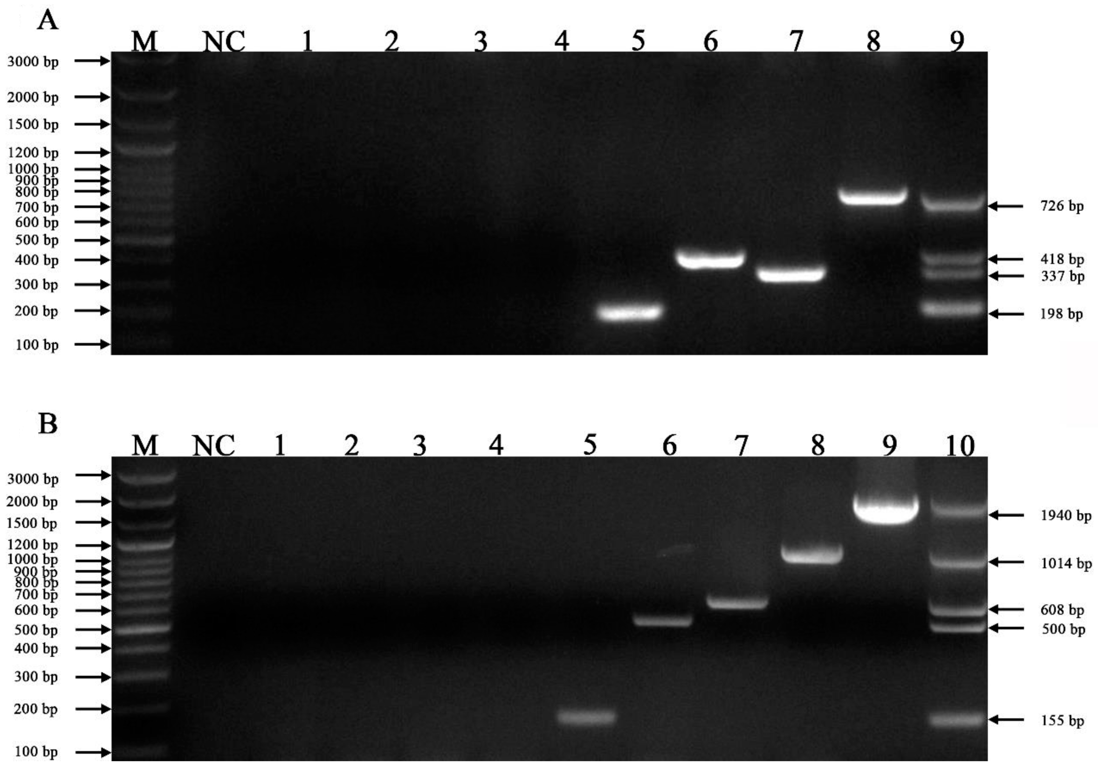 Vetsci 10 00014 g002