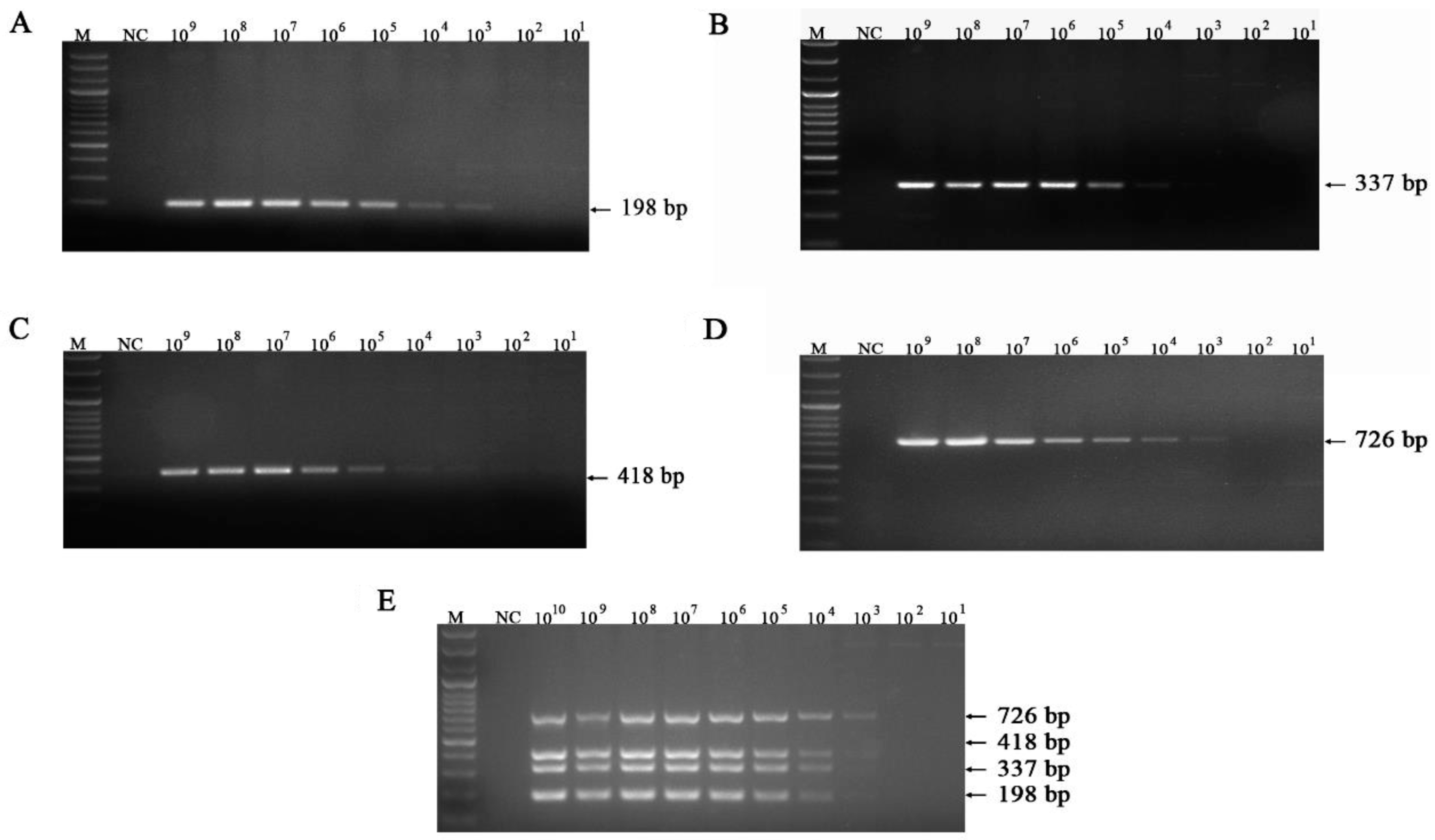 Vetsci 10 00014 g003