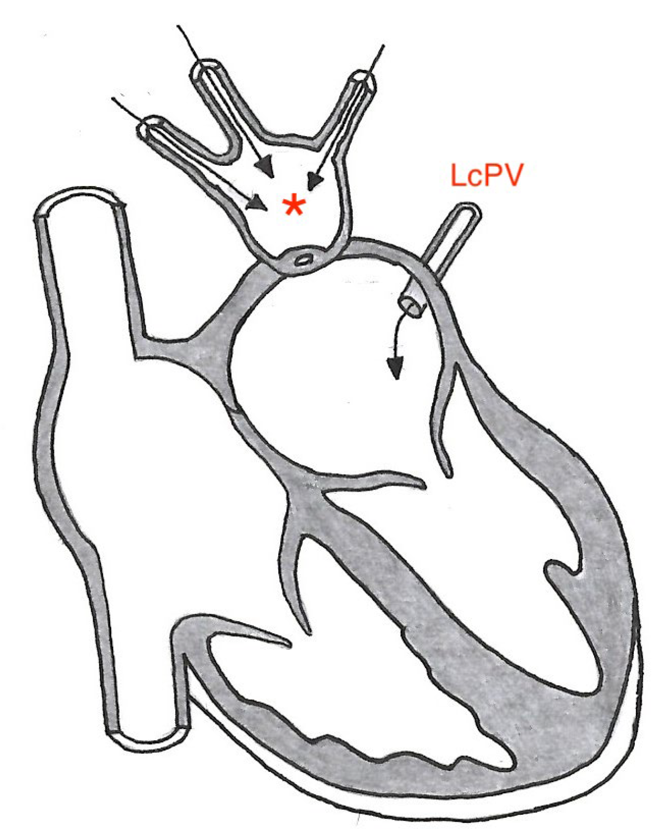 Vetsci 10 00023 g007 Vetsci 10 00023 g007