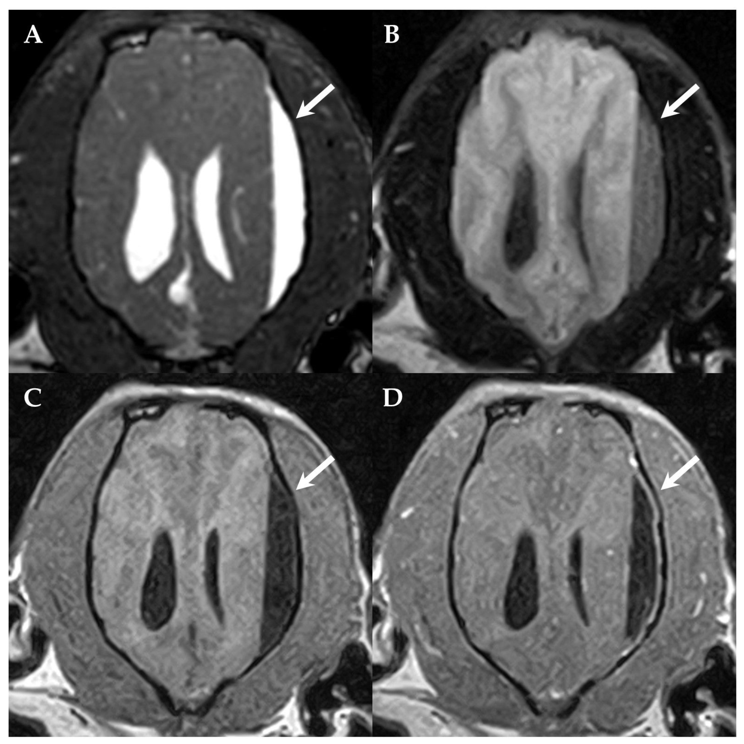 Vetsci 10 00024 g001 Vetsci 10 00024 g001