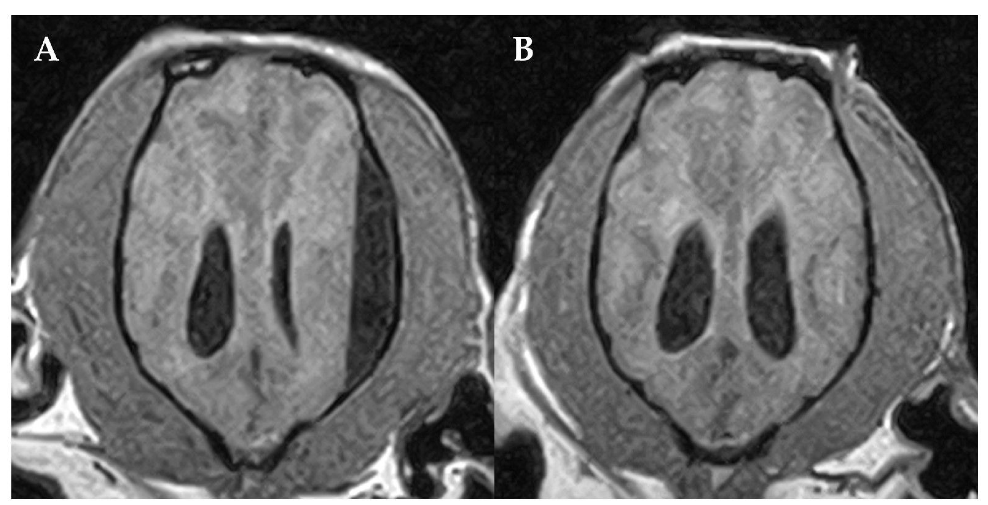 Vetsci 10 00024 g003 Vetsci 10 00024 g003