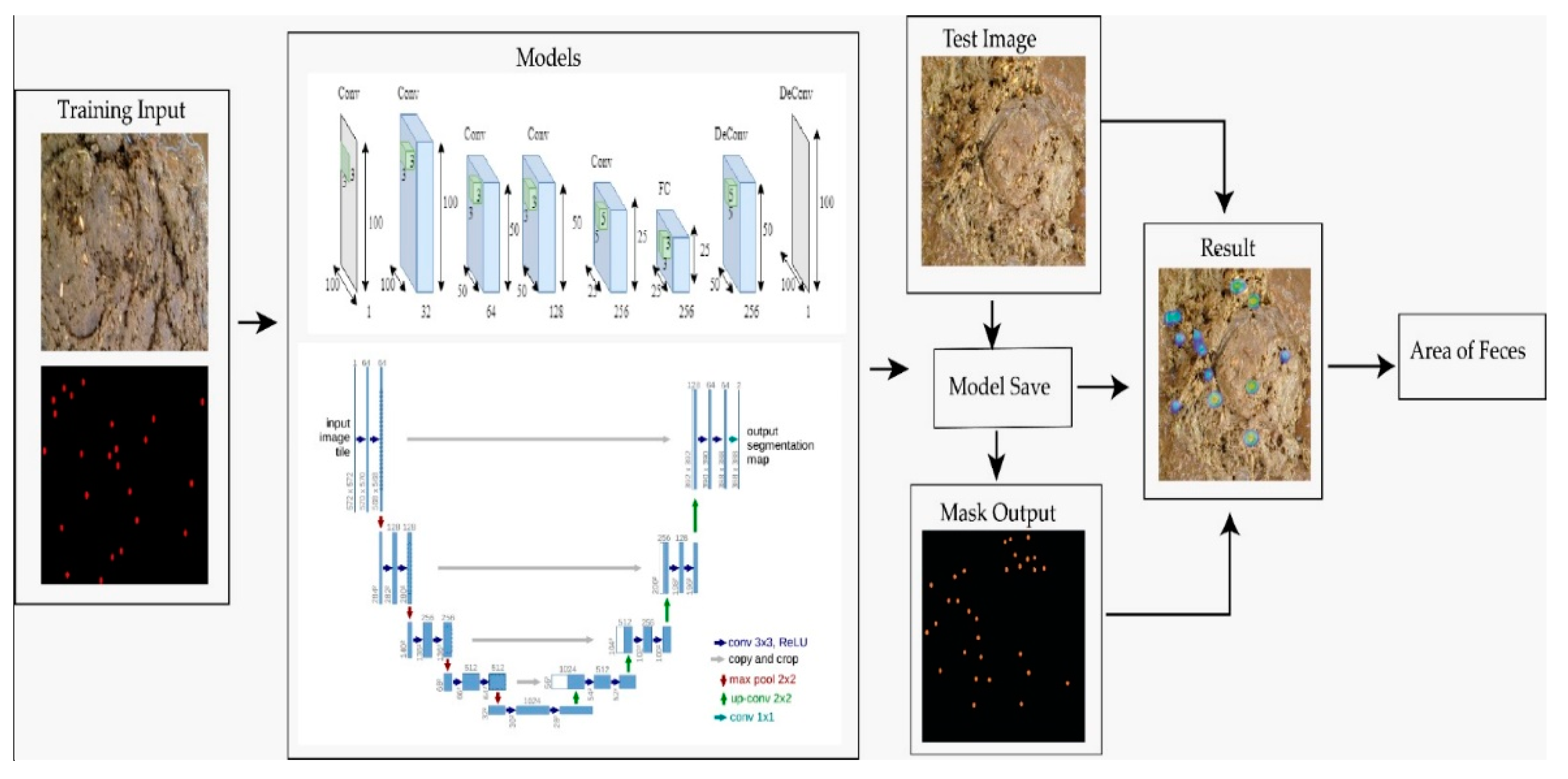 Vetsci 10 00032 g001