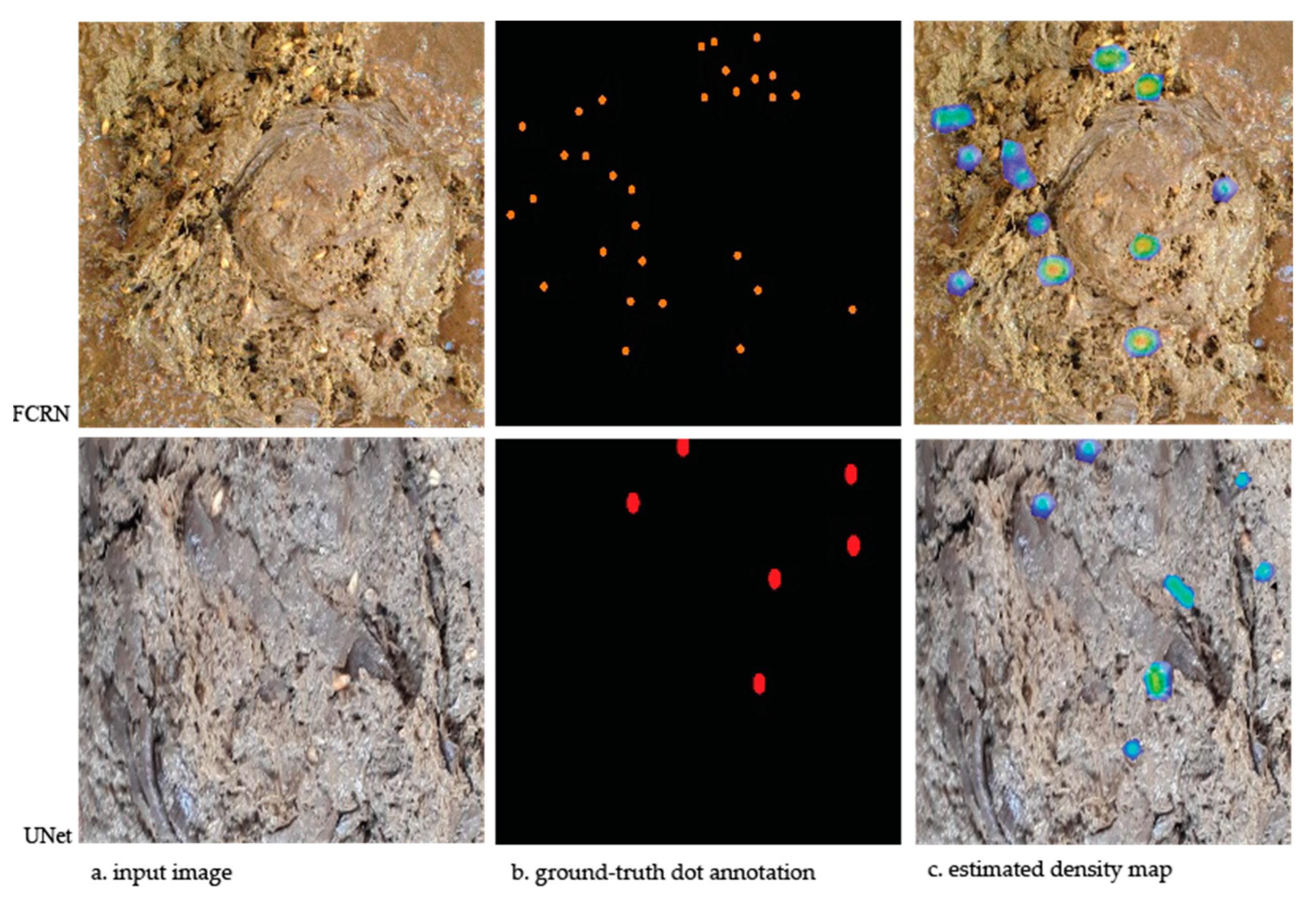 Vetsci 10 00032 g004