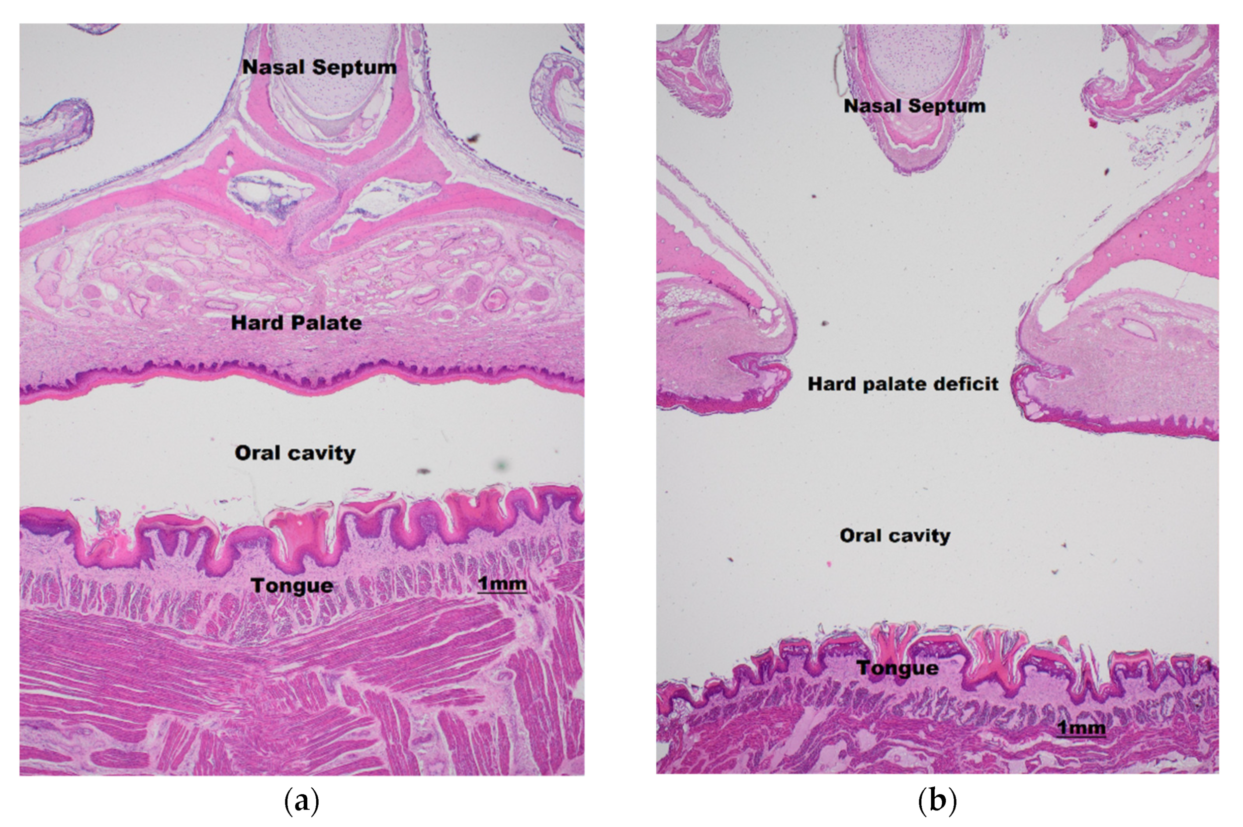 Vetsci 10 00038 g003