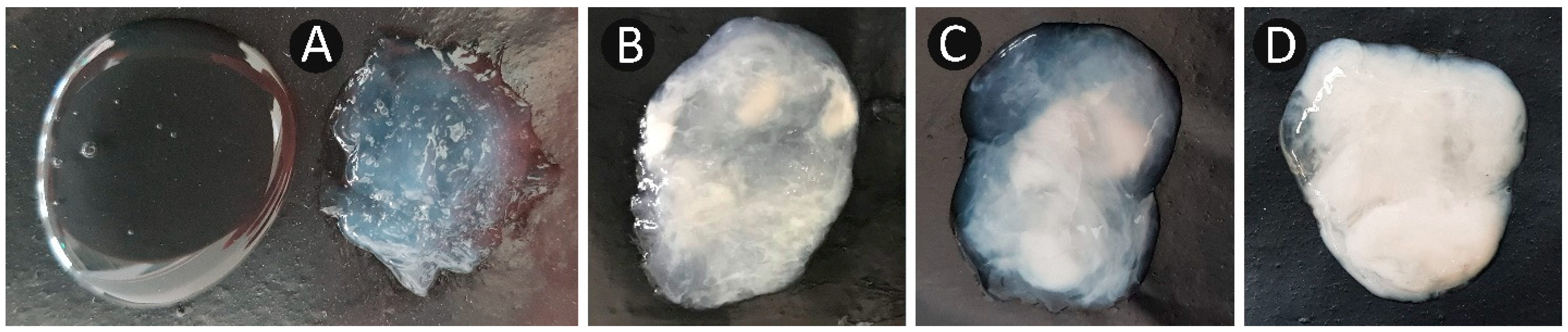 Vetsci 10 00039 g001 Vetsci 10 00039 g001