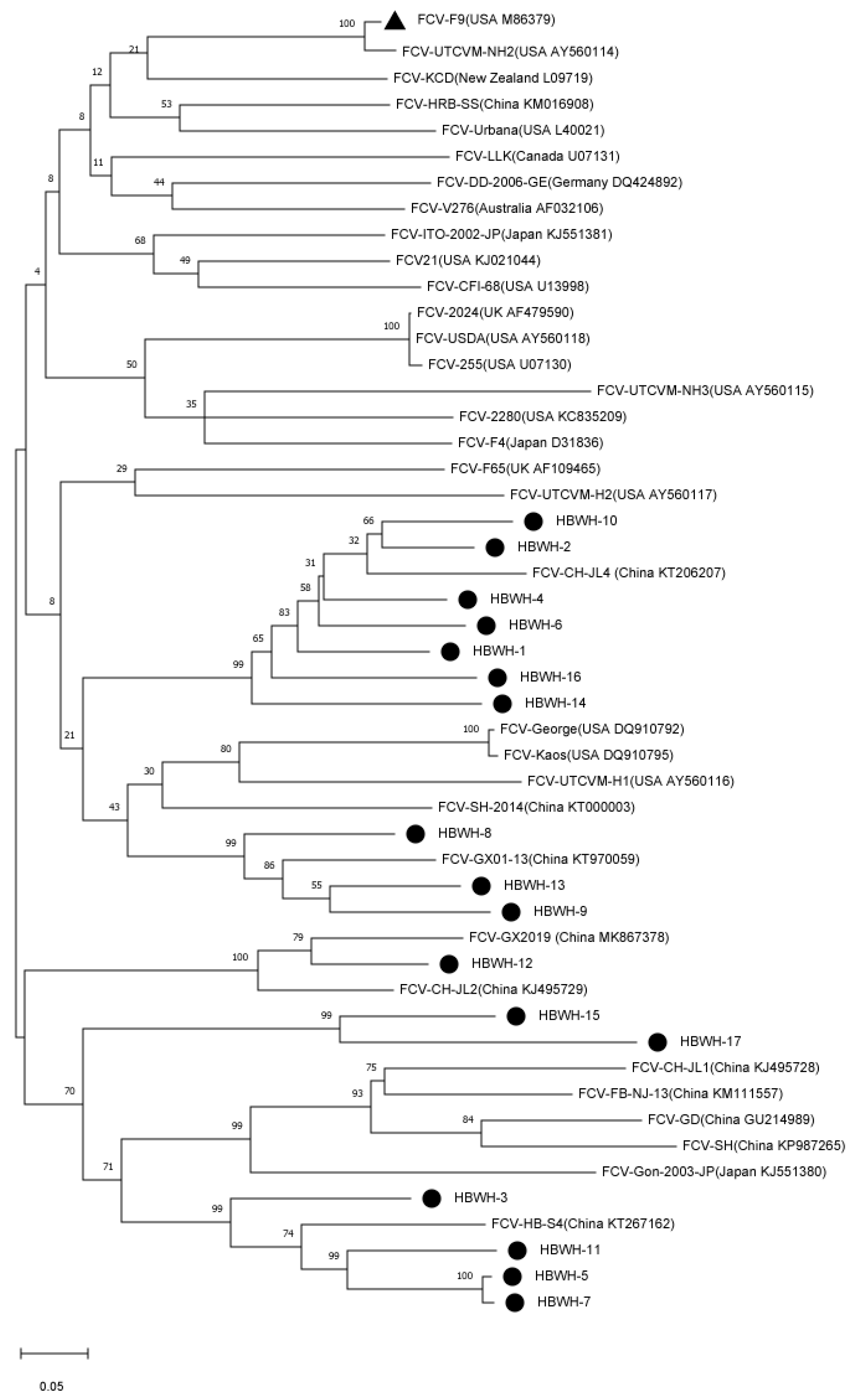 Vetsci 10 00046 g005