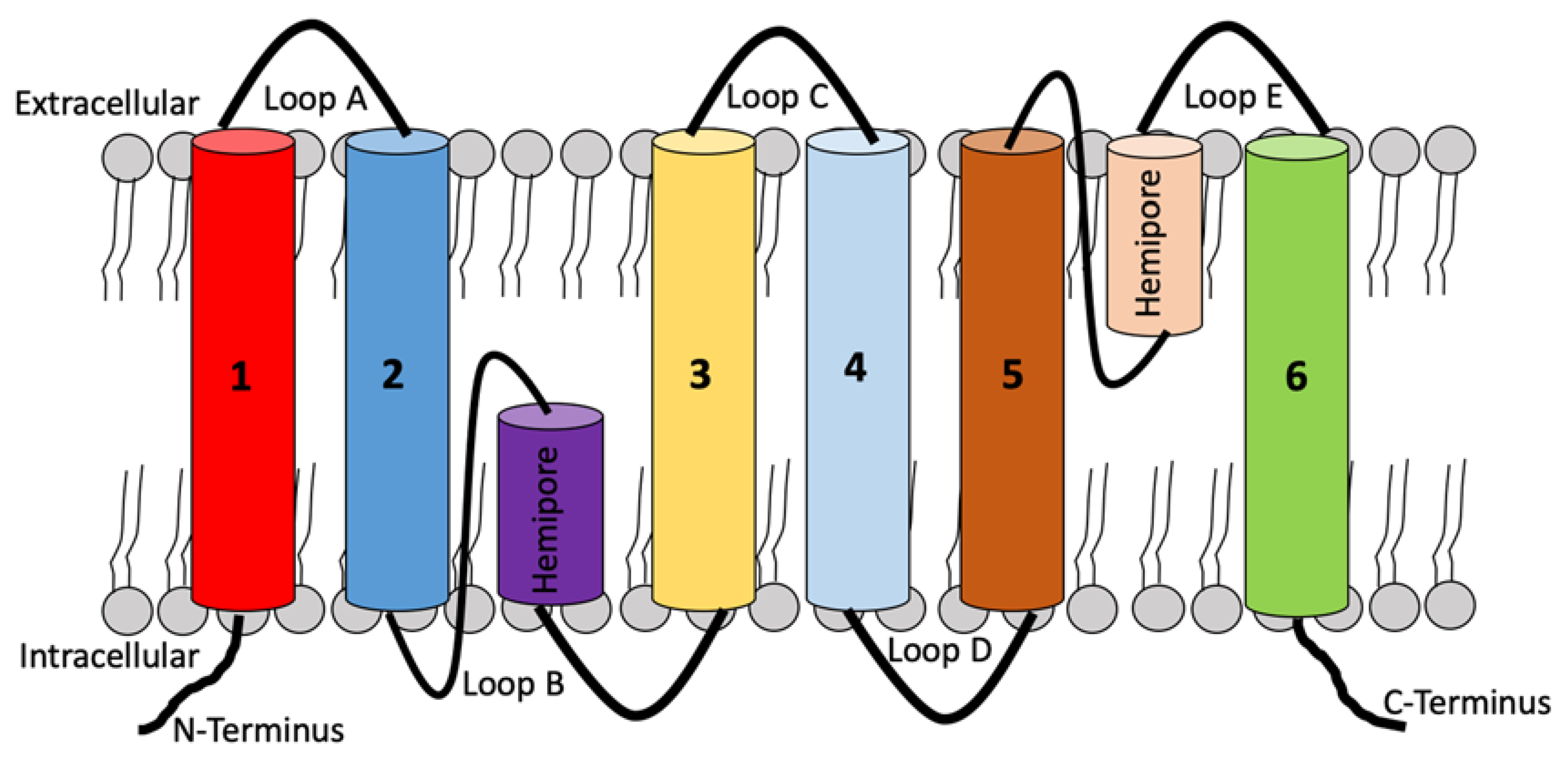 Vetsci 10 00050 g001