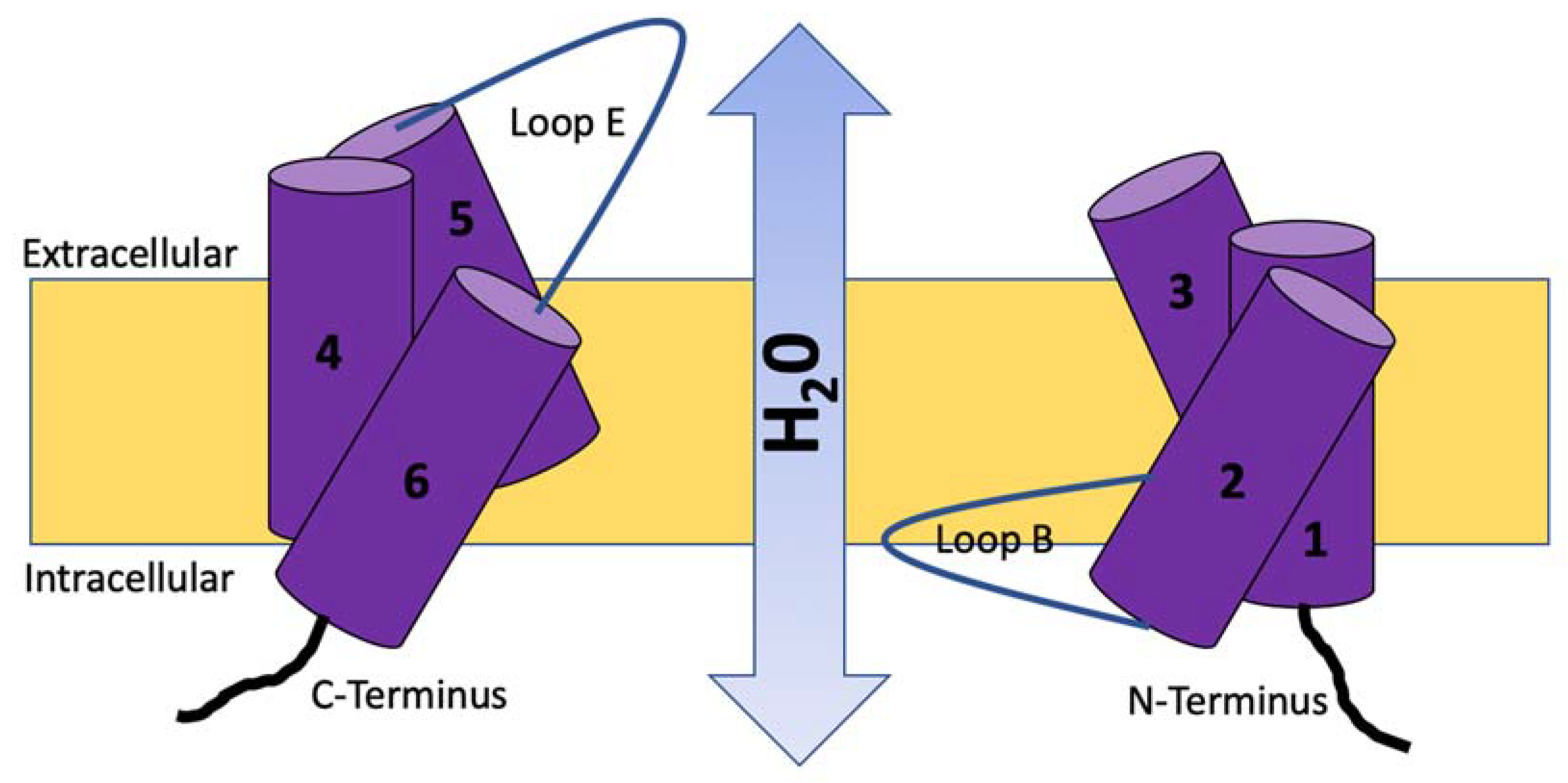 Vetsci 10 00050 g002