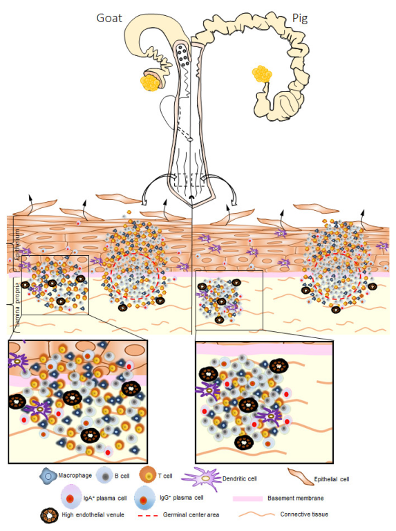 Vetsci 10 00051 g008