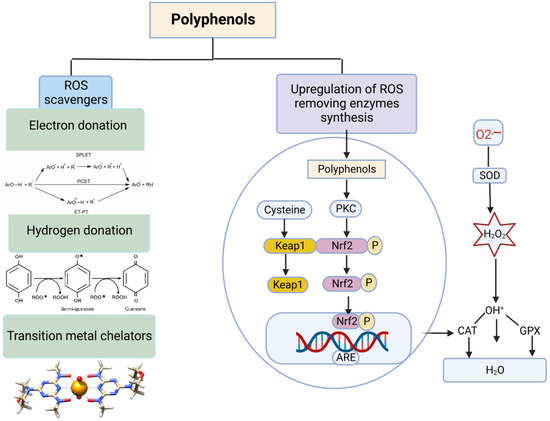 Vetsci 10 00055 g006