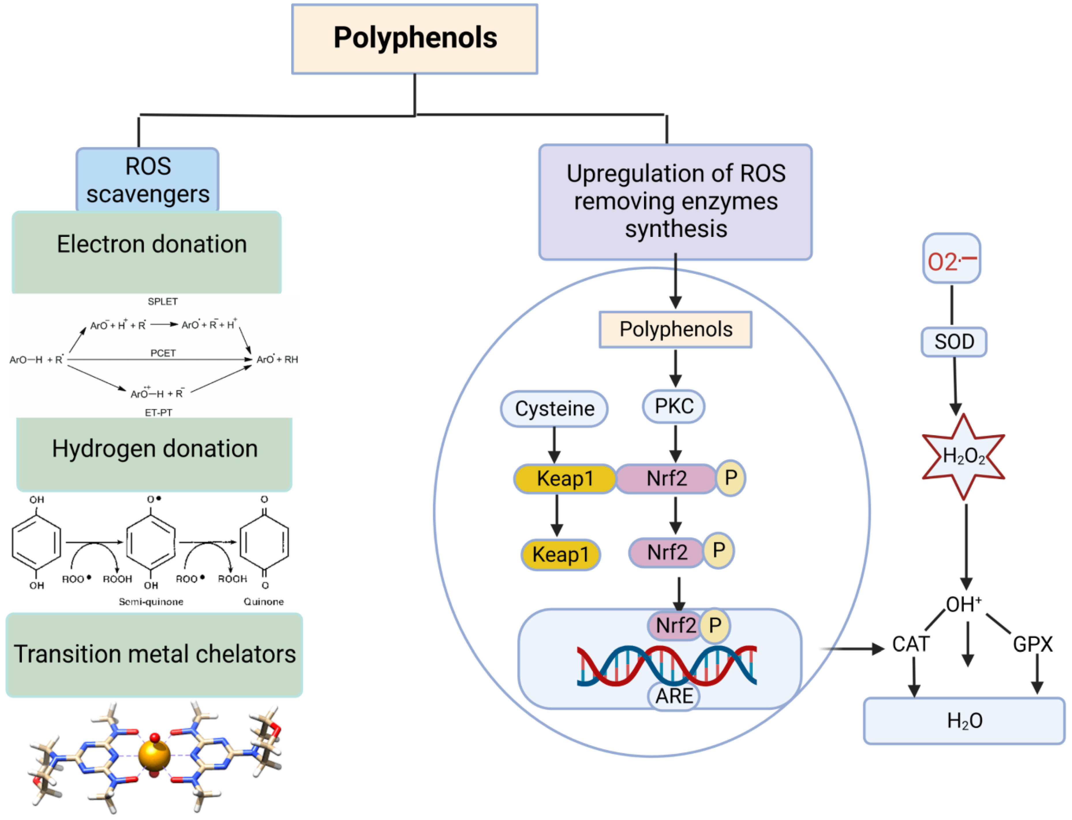 Vetsci 10 00055 g006