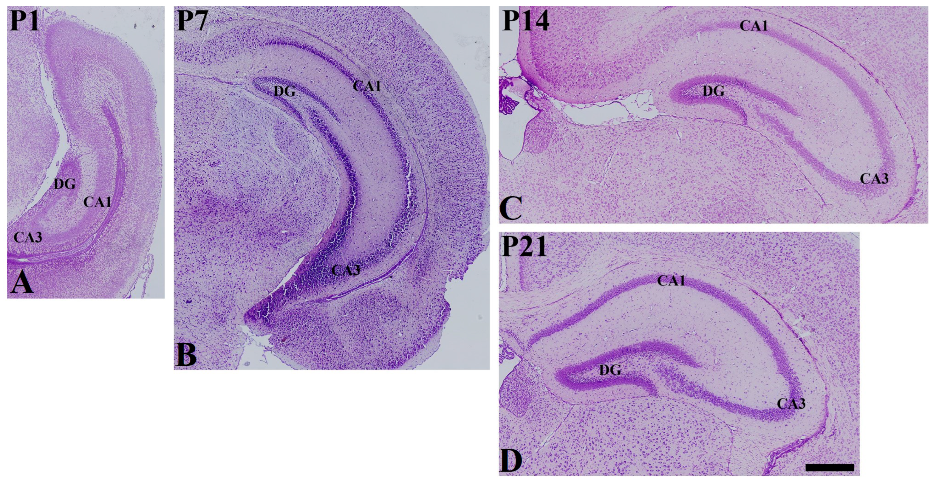 Vetsci 10 00081 g001 Vetsci 10 00081 g001
