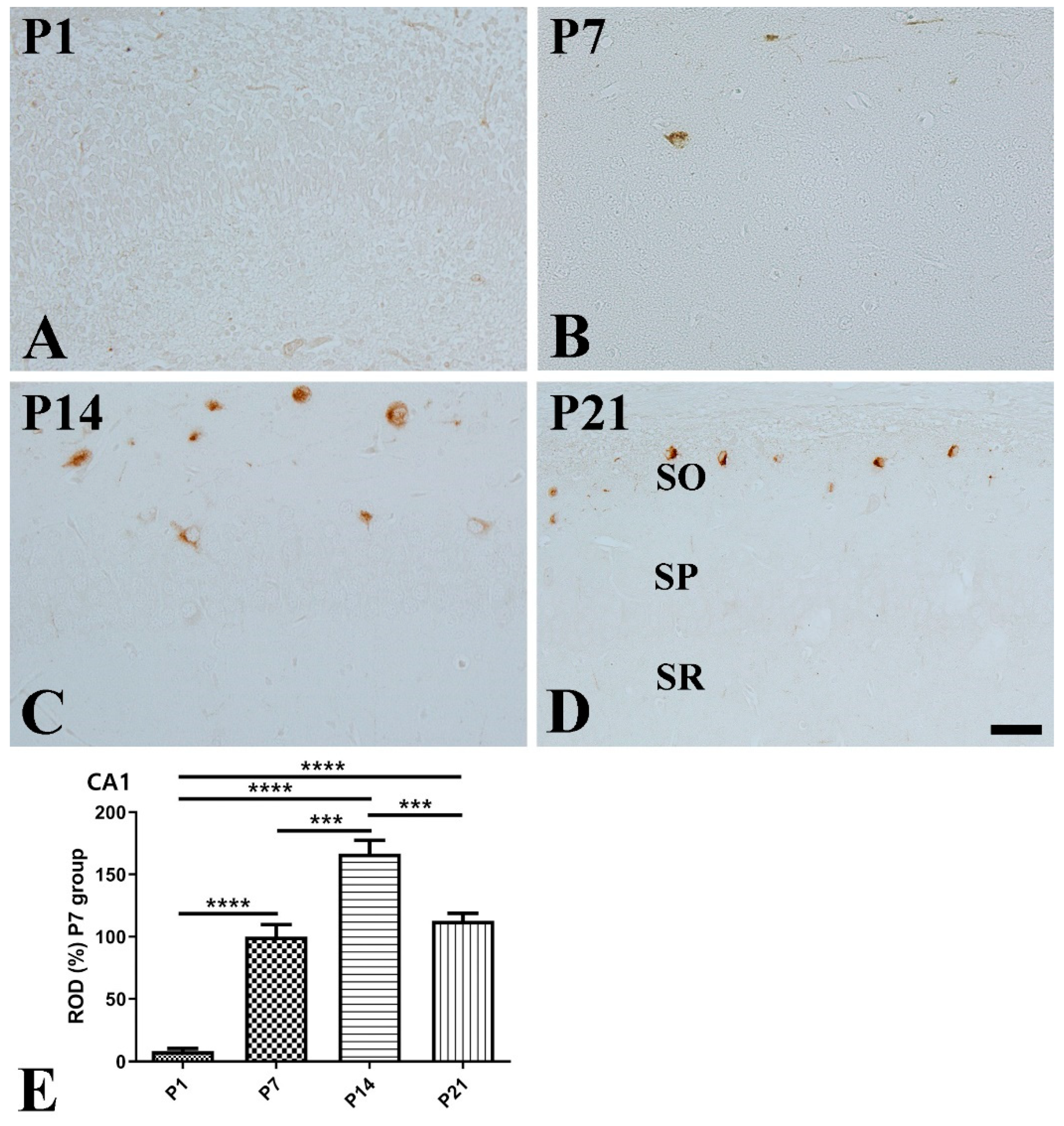 Vetsci 10 00081 g002 Vetsci 10 00081 g002