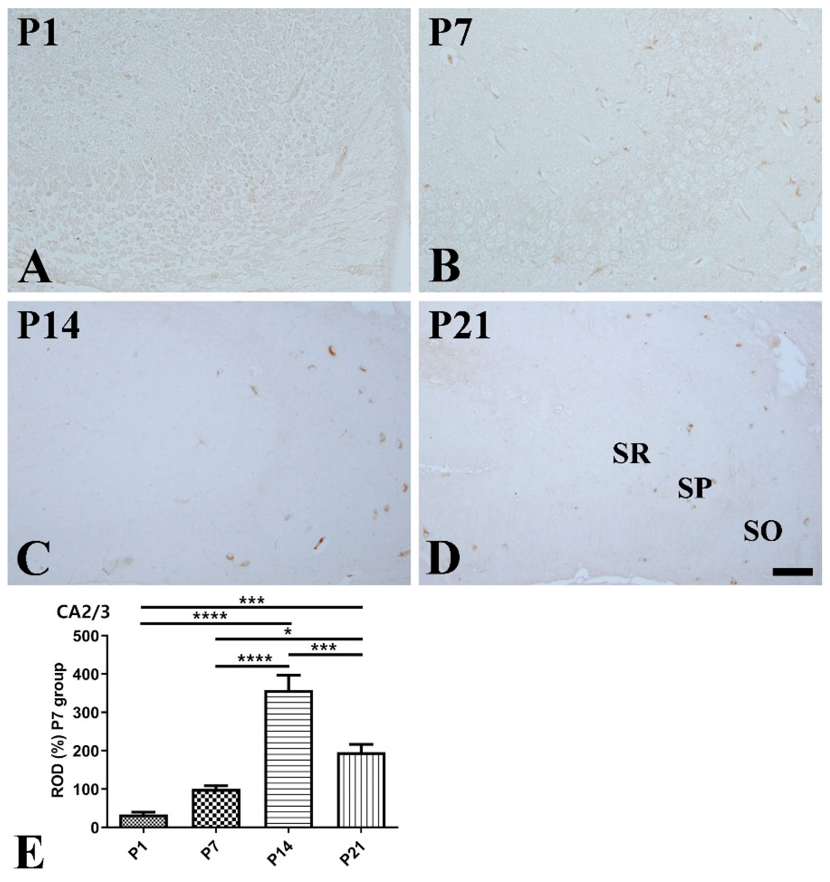 Vetsci 10 00081 g003 Vetsci 10 00081 g003