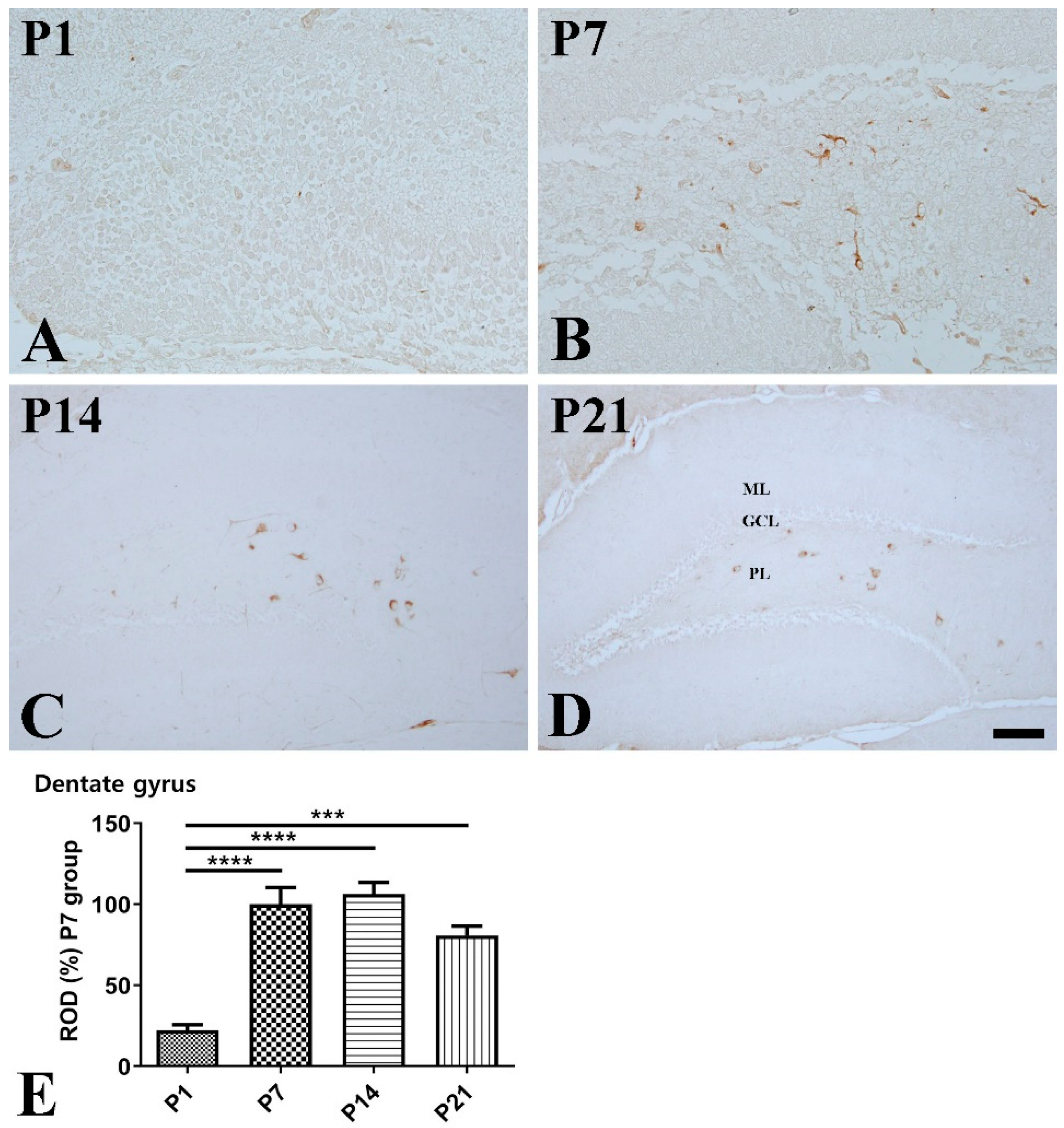 Vetsci 10 00081 g004 Vetsci 10 00081 g004