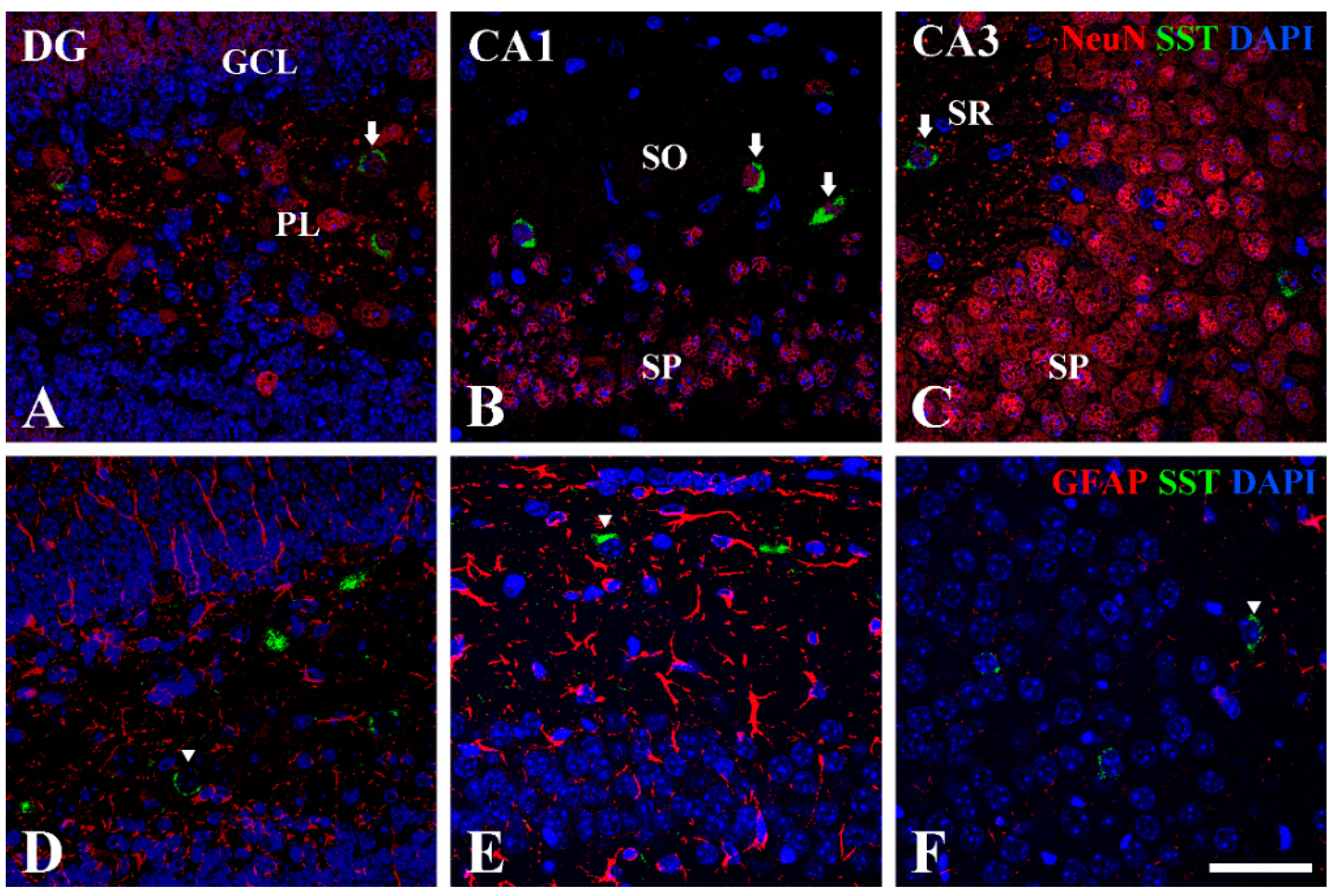 Vetsci 10 00081 g005 Vetsci 10 00081 g005