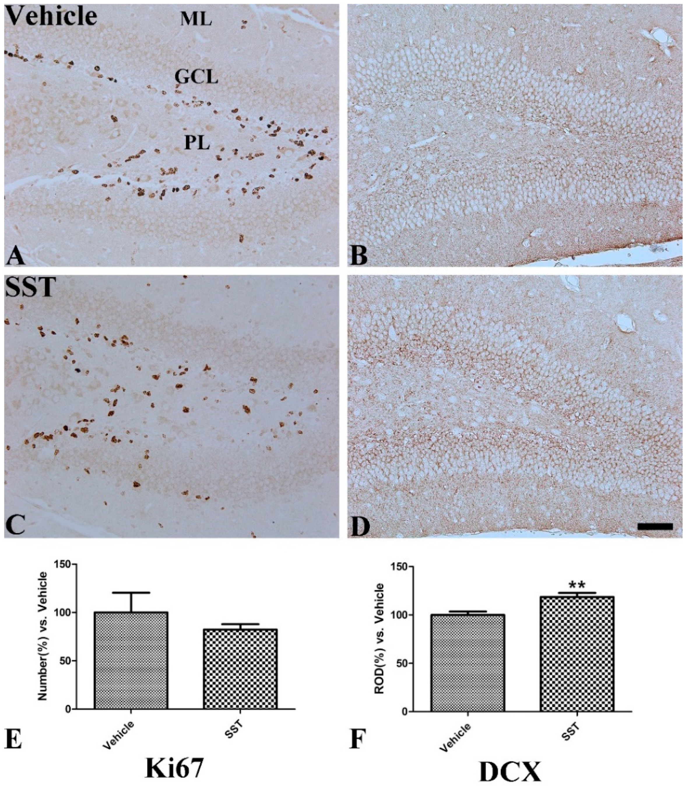 Vetsci 10 00081 g006 Vetsci 10 00081 g006