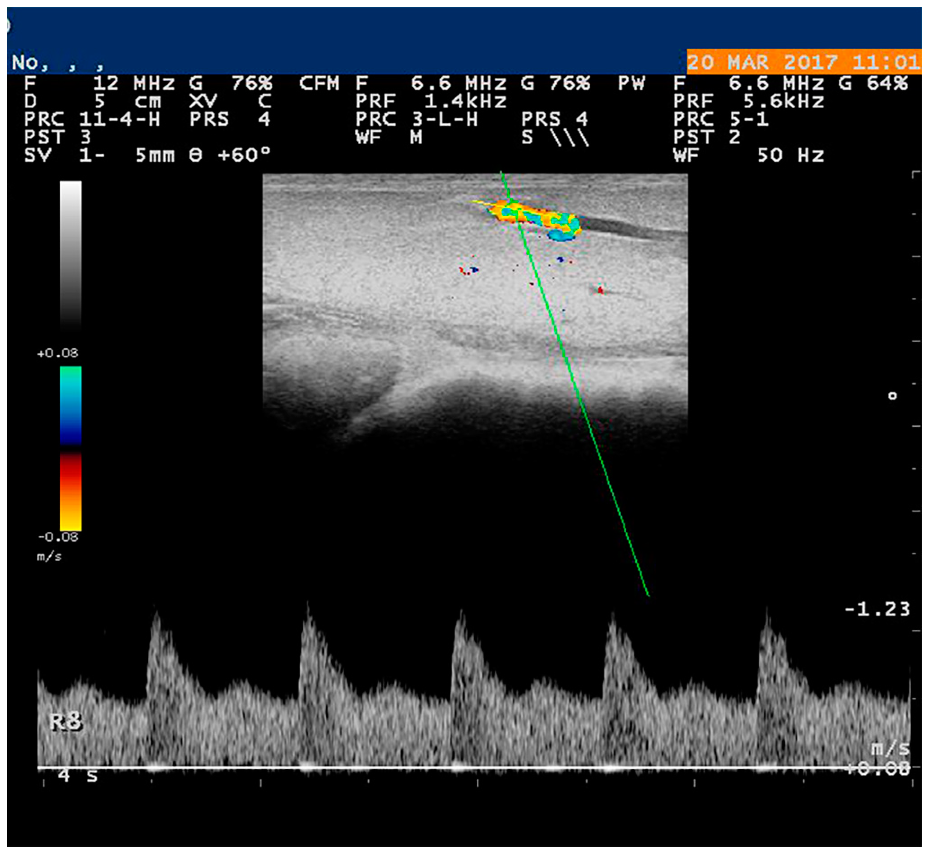 Vetsci 10 00083 g001