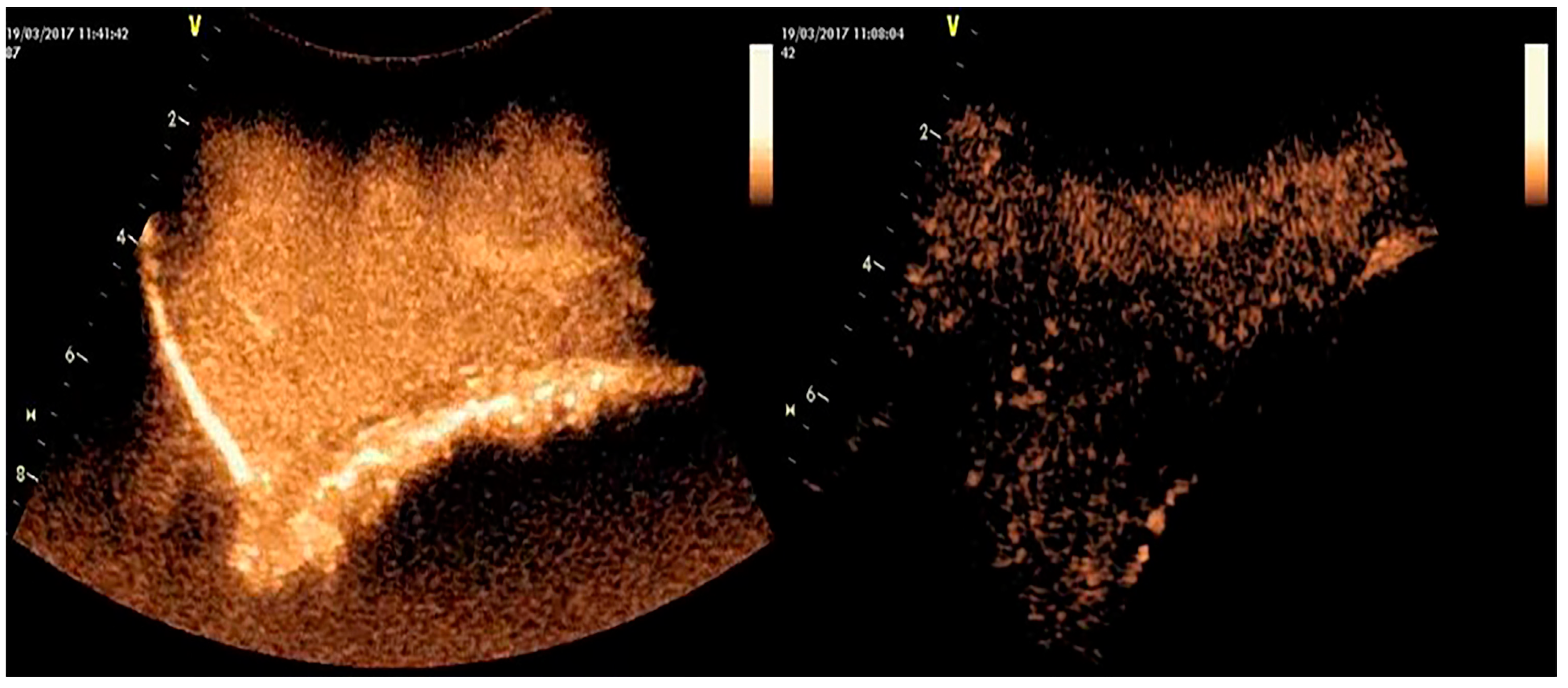 Vetsci 10 00083 g002