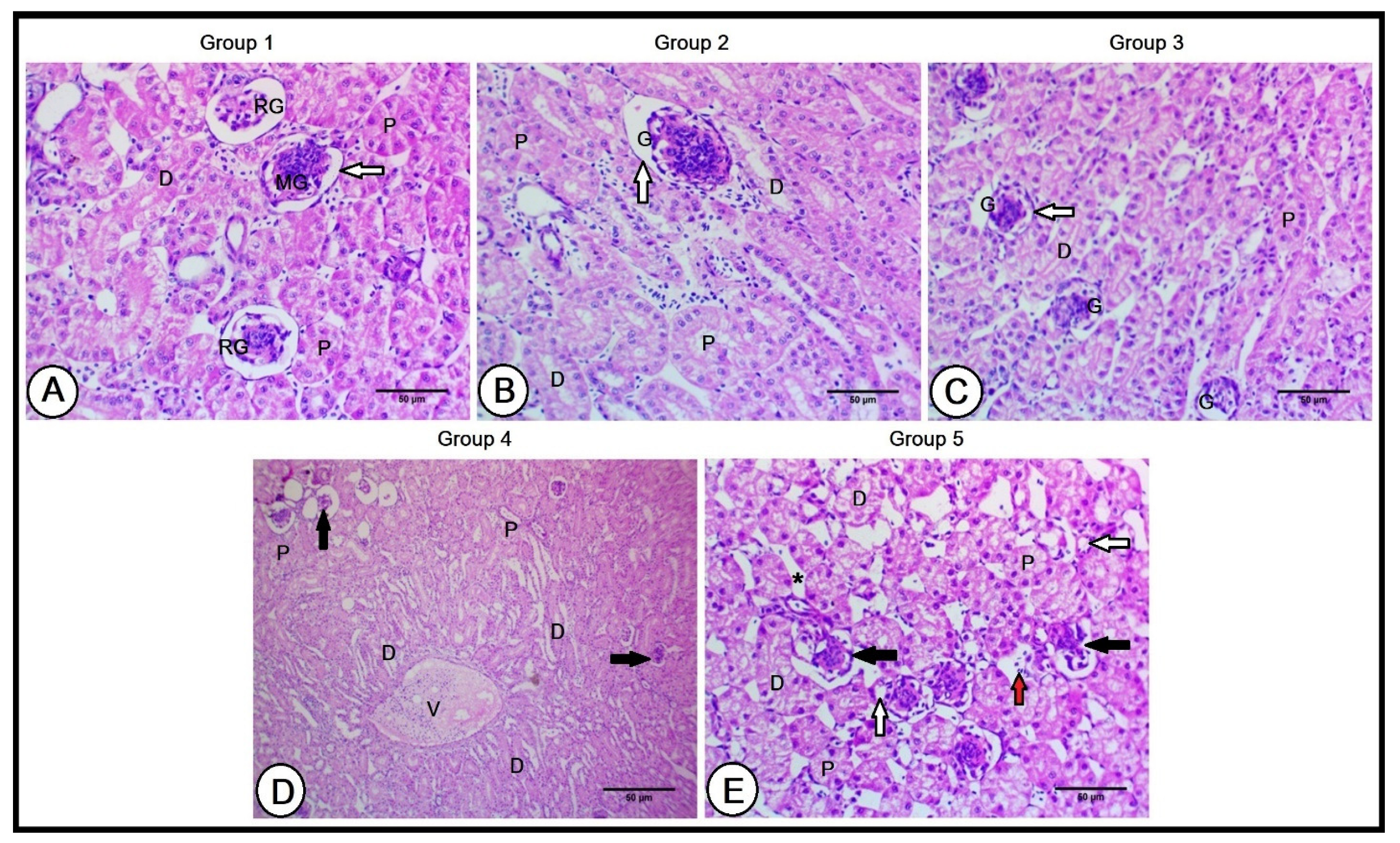 Vetsci 10 00098 g002 Vetsci 10 00098 g002