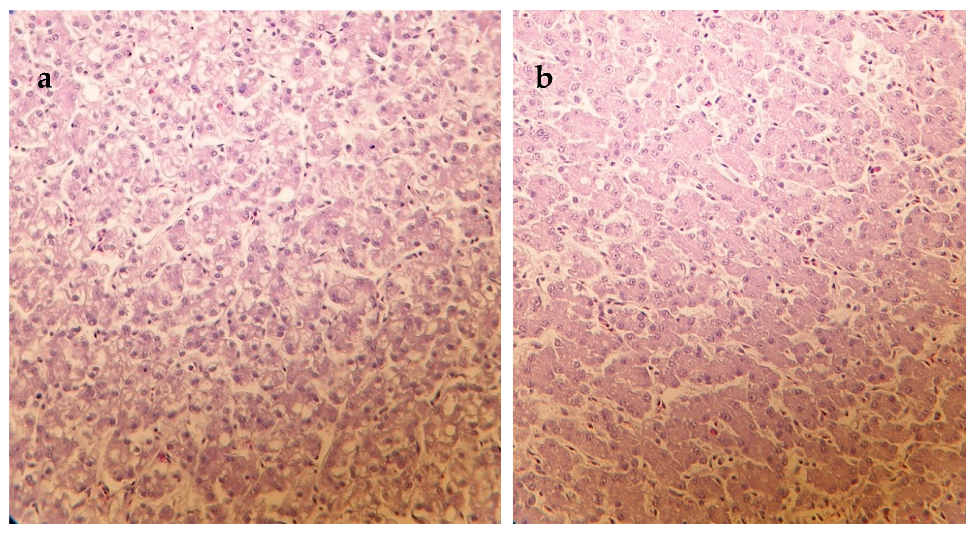 Vetsci 10 00100 g001