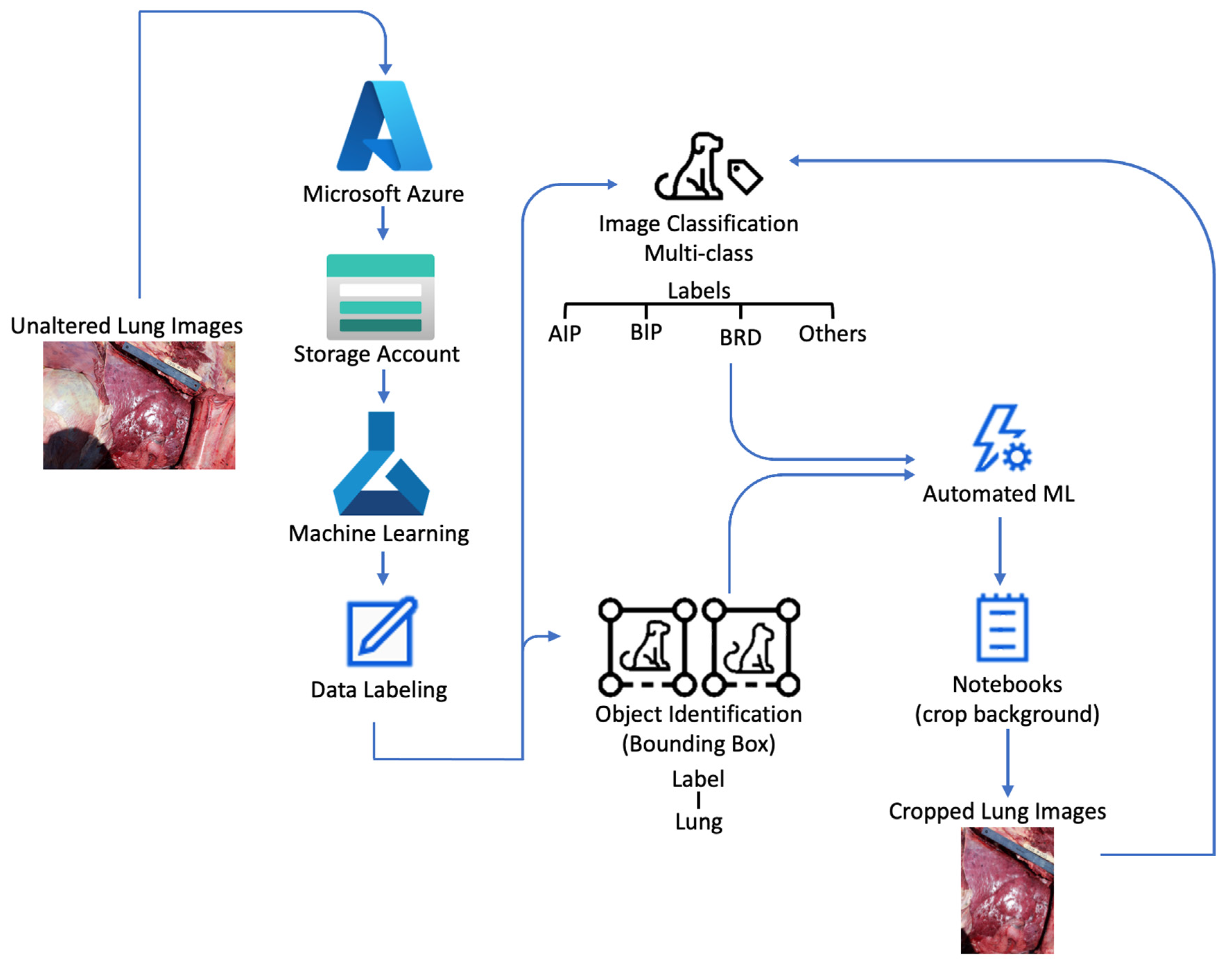 Vetsci 10 00113 g002