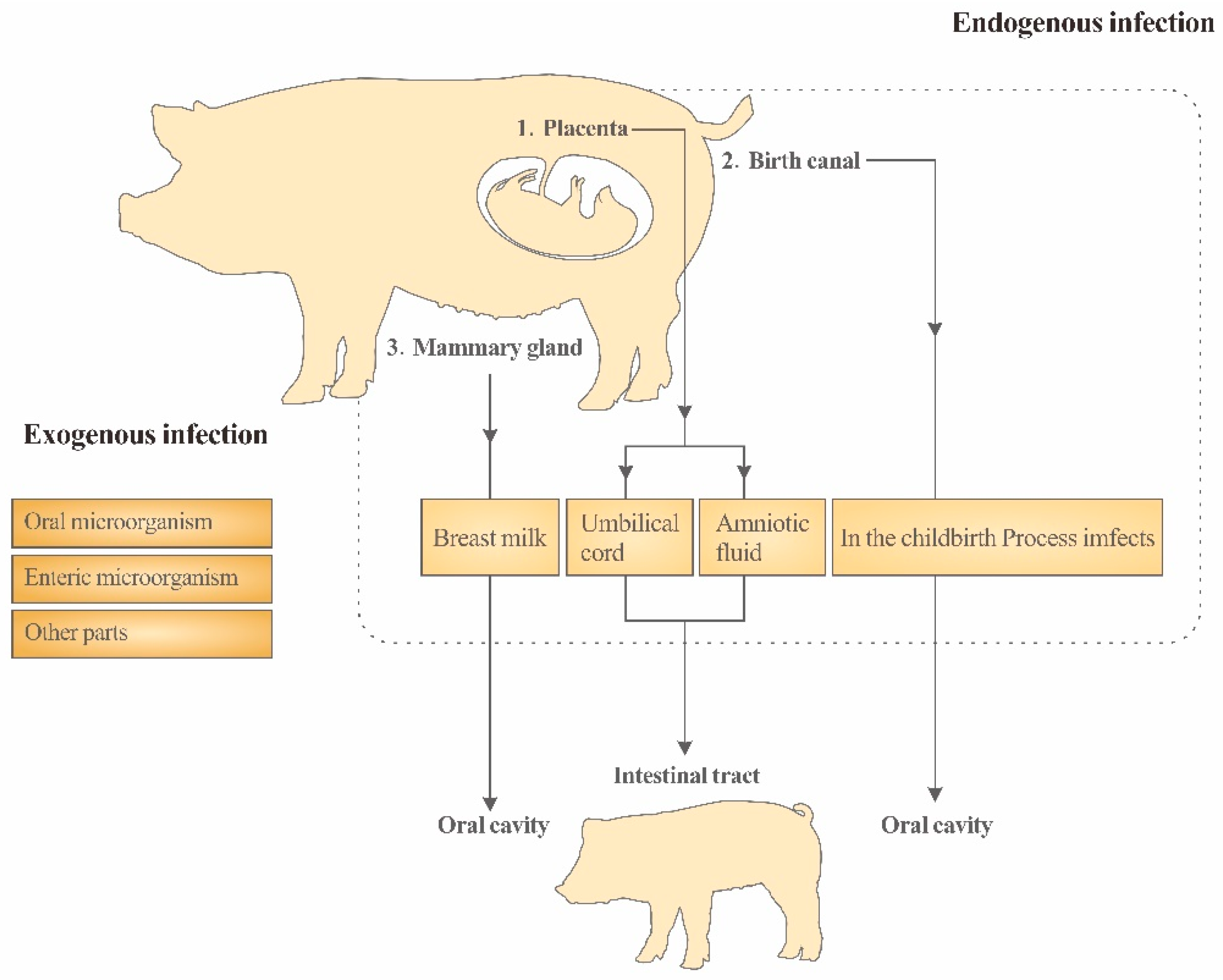 Vetsci 10 00123 g001 Vetsci 10 00123 g001