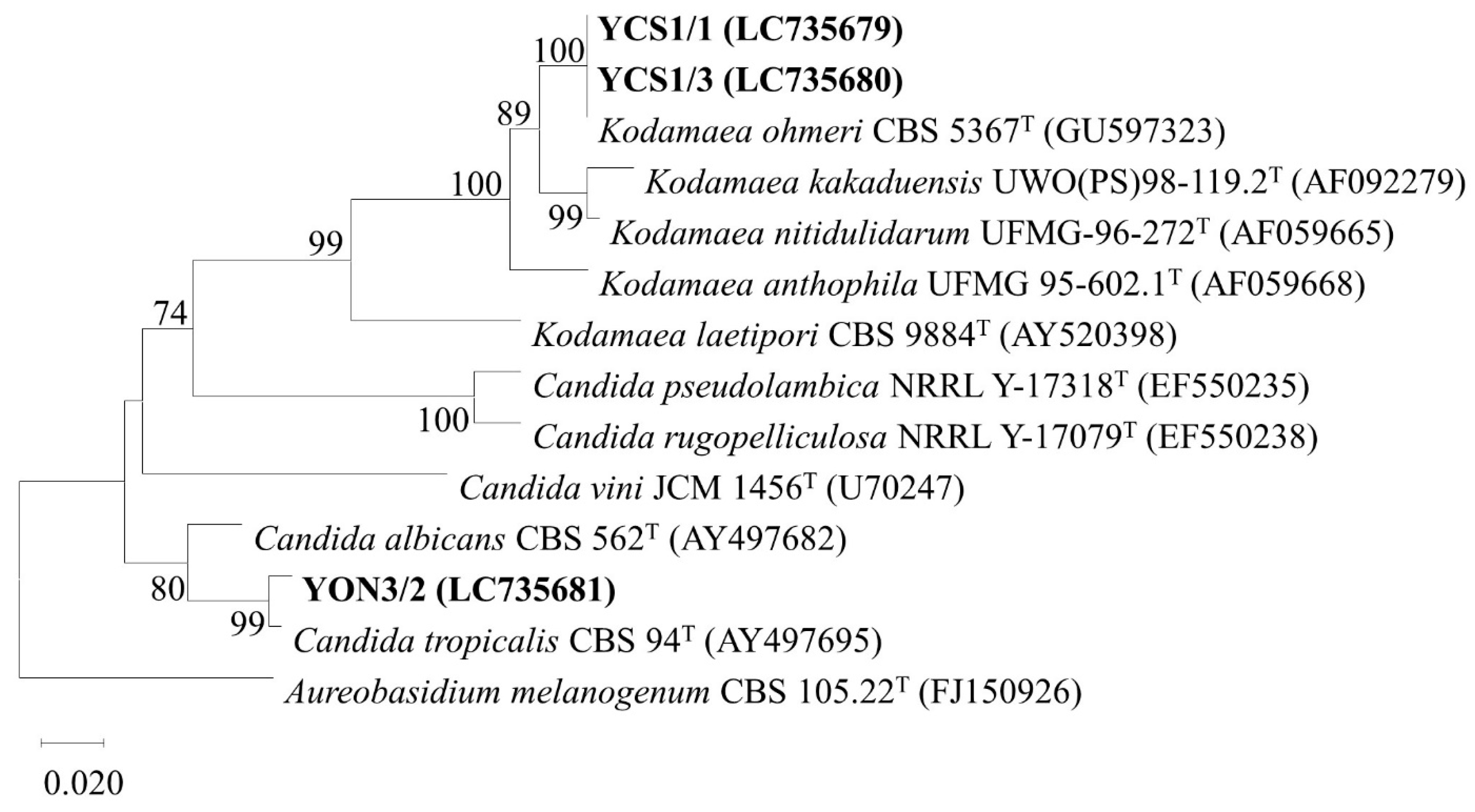 Vetsci 10 00129 g004 Vetsci 10 00129 g004
