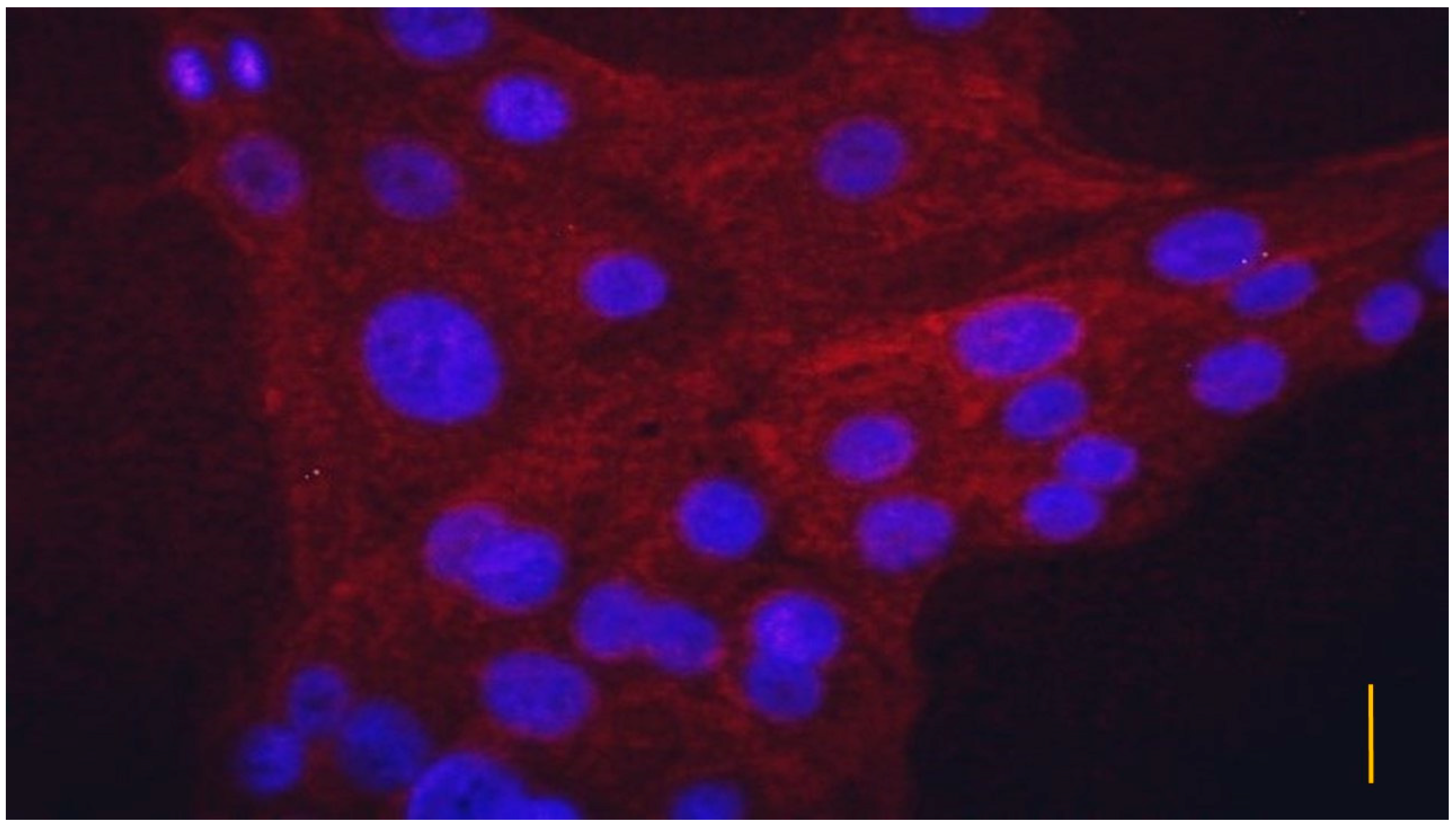 Vetsci 10 00132 g003