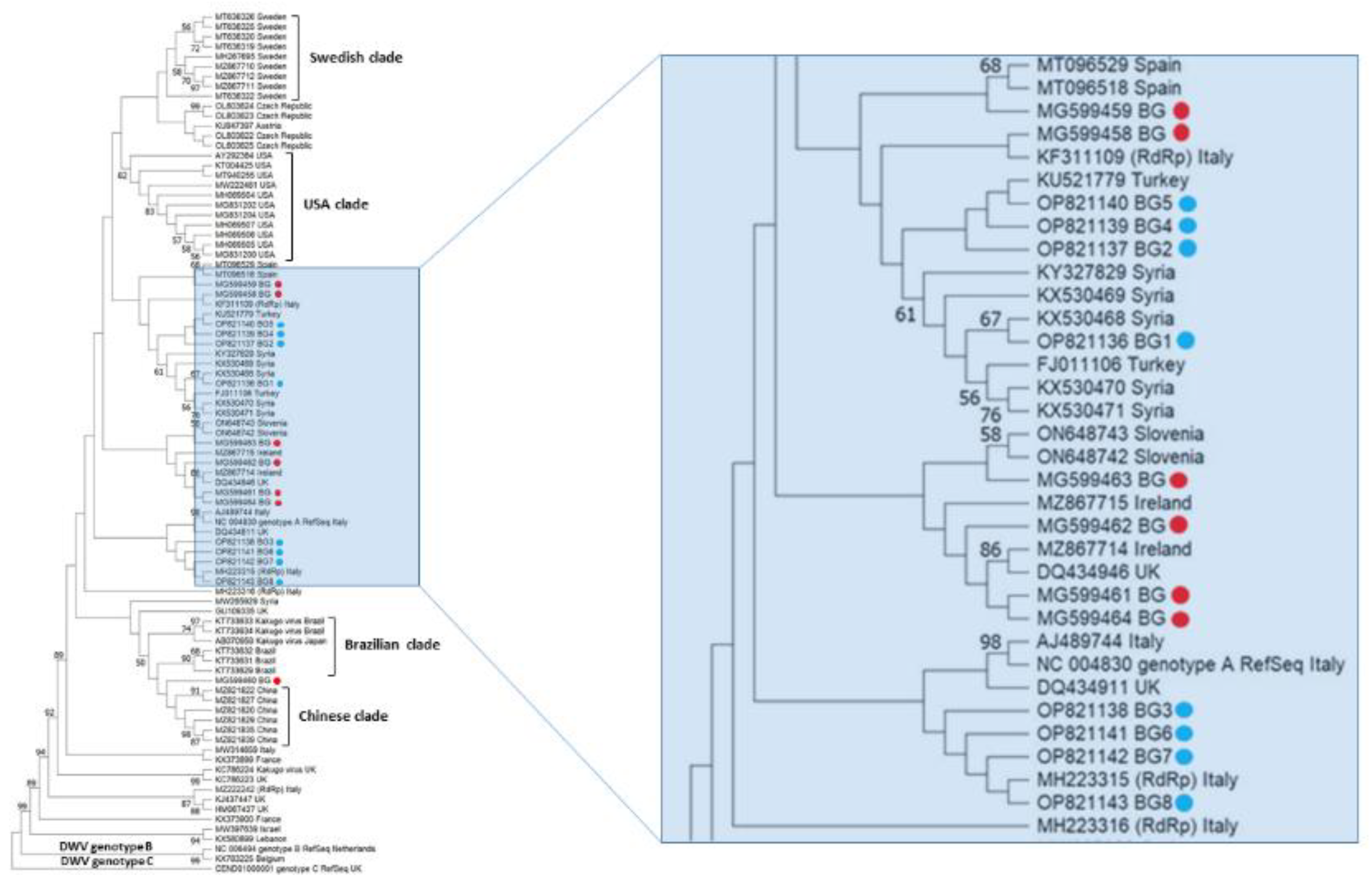 Vetsci 10 00140 g003