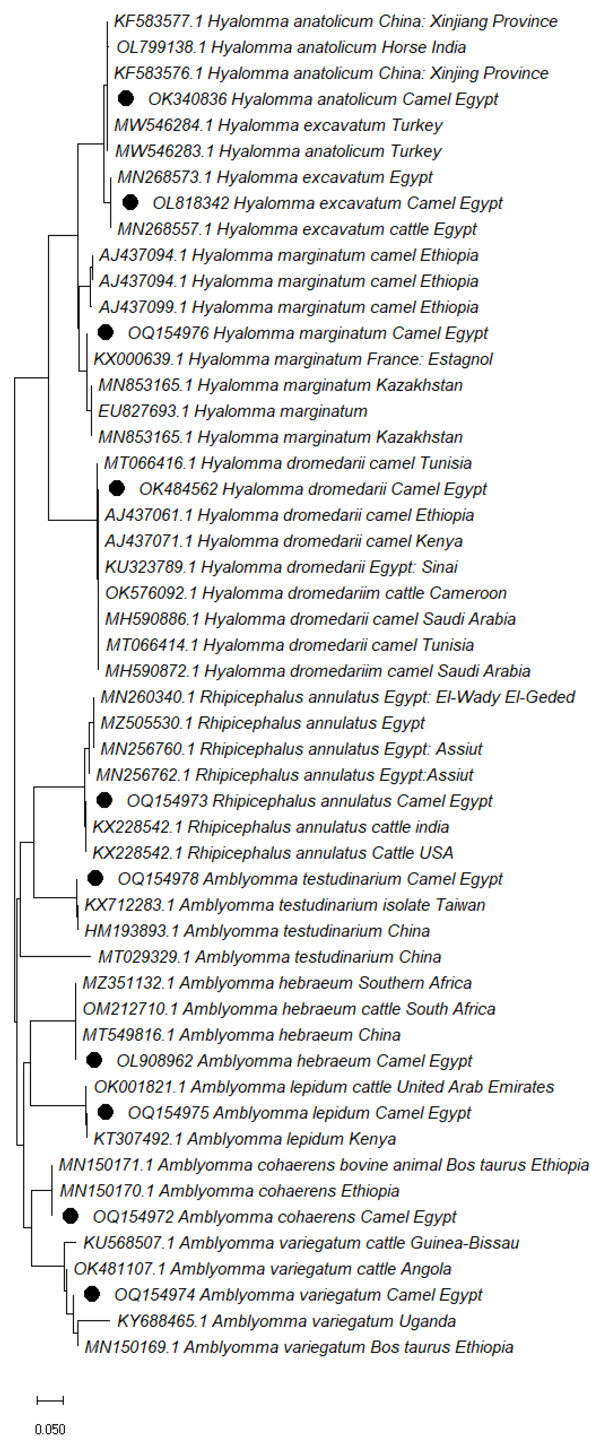 Vetsci 10 00141 g001
