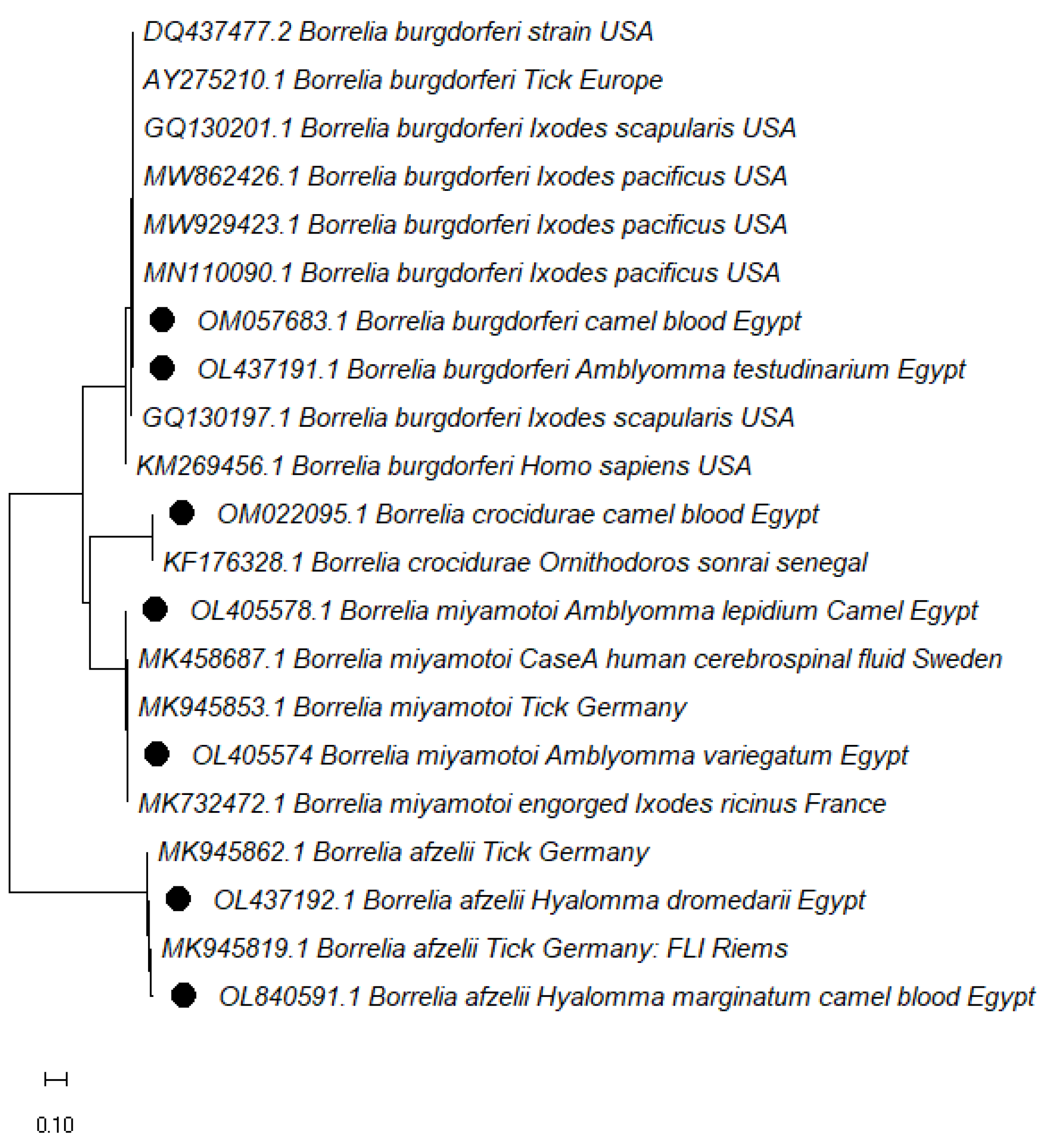 Vetsci 10 00141 g002