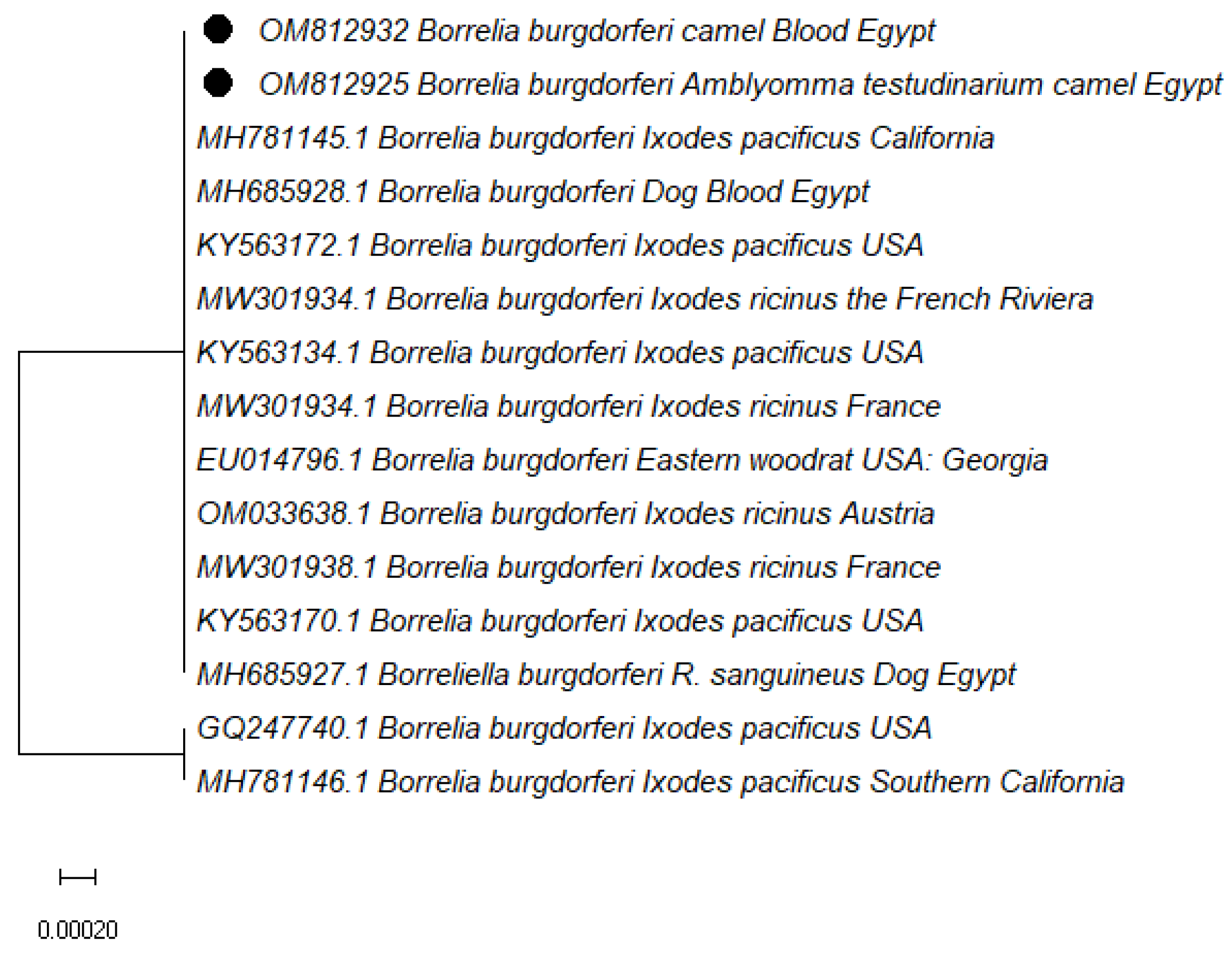 Vetsci 10 00141 g004