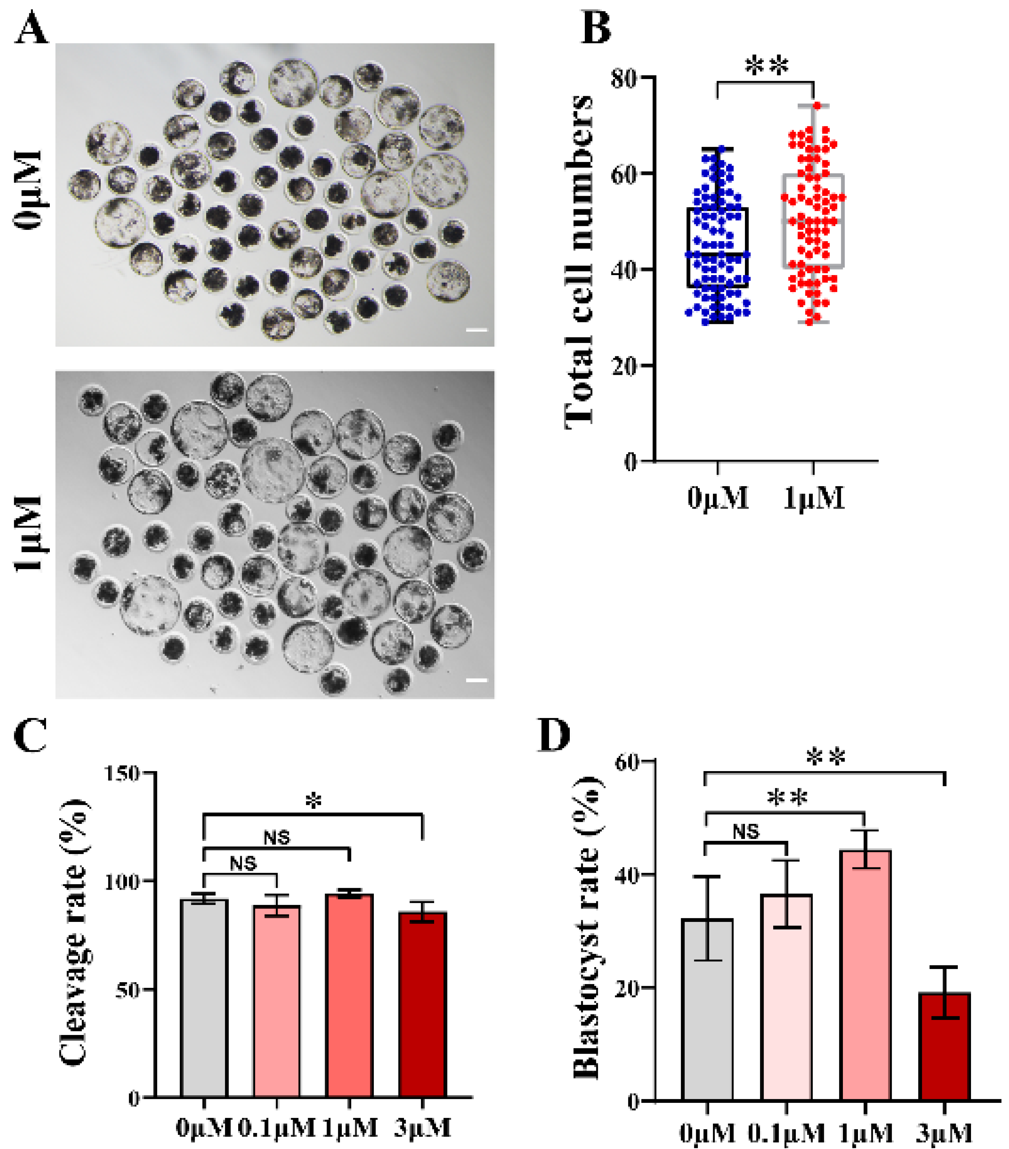 Vetsci 10 00143 g001