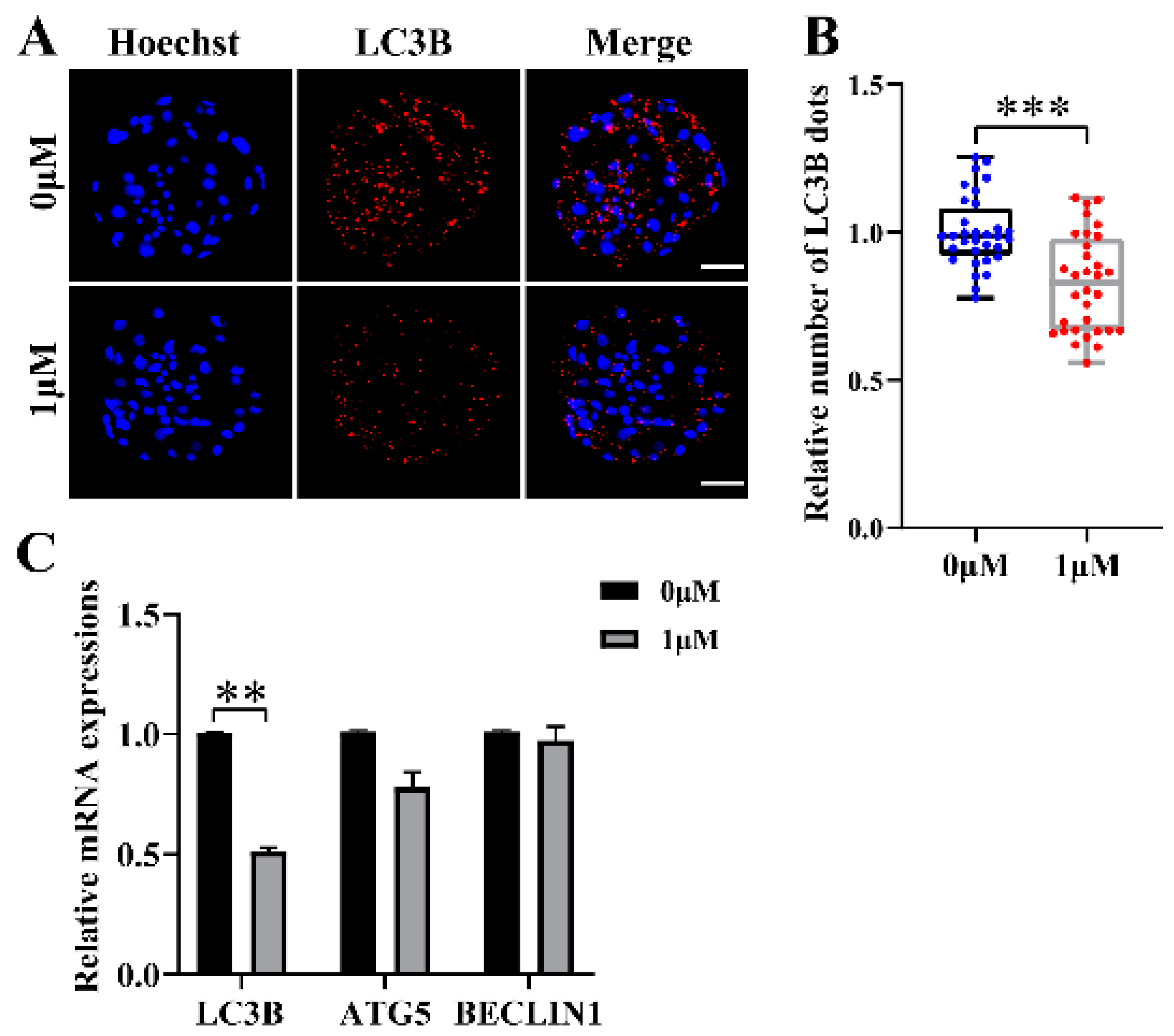 Vetsci 10 00143 g004