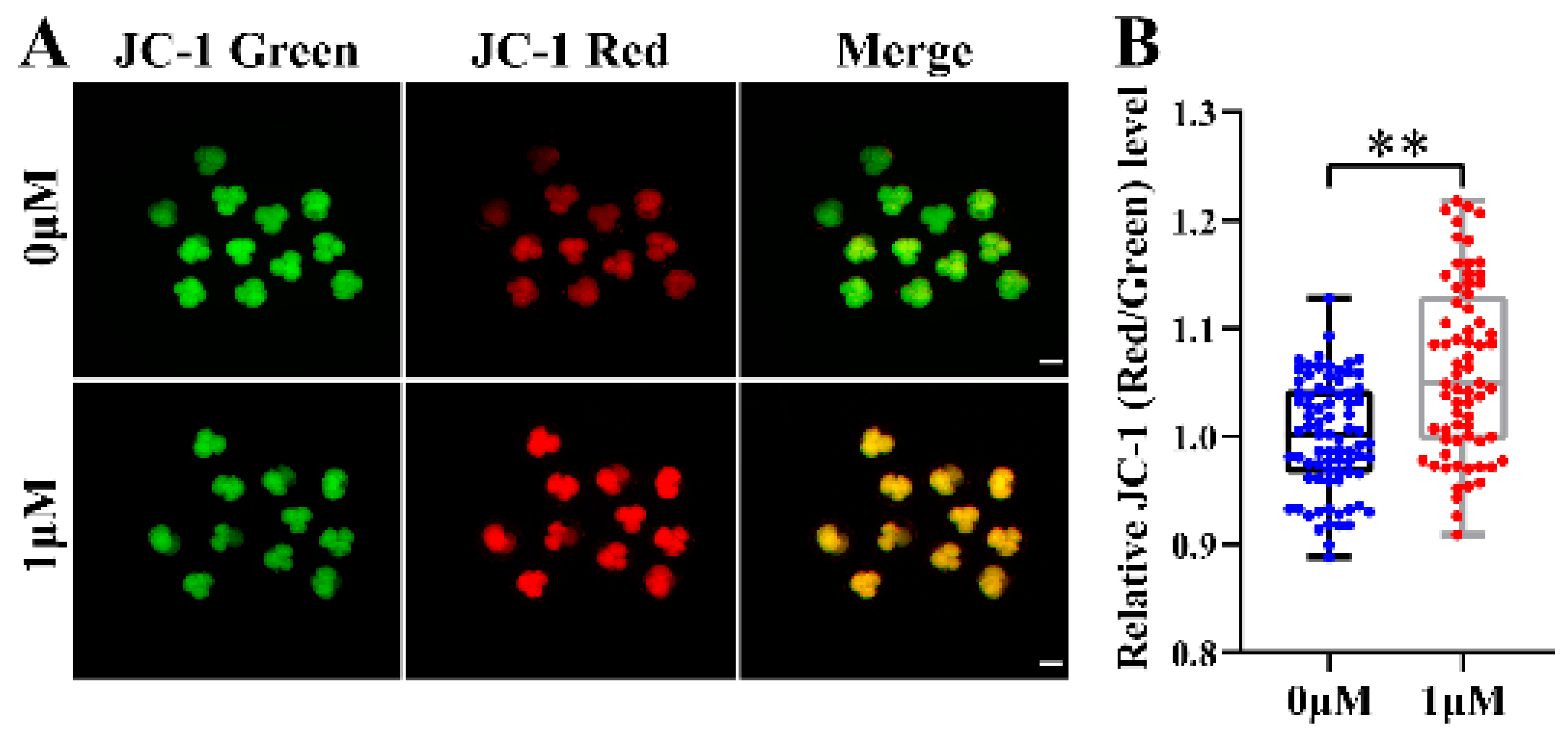 Vetsci 10 00143 g005