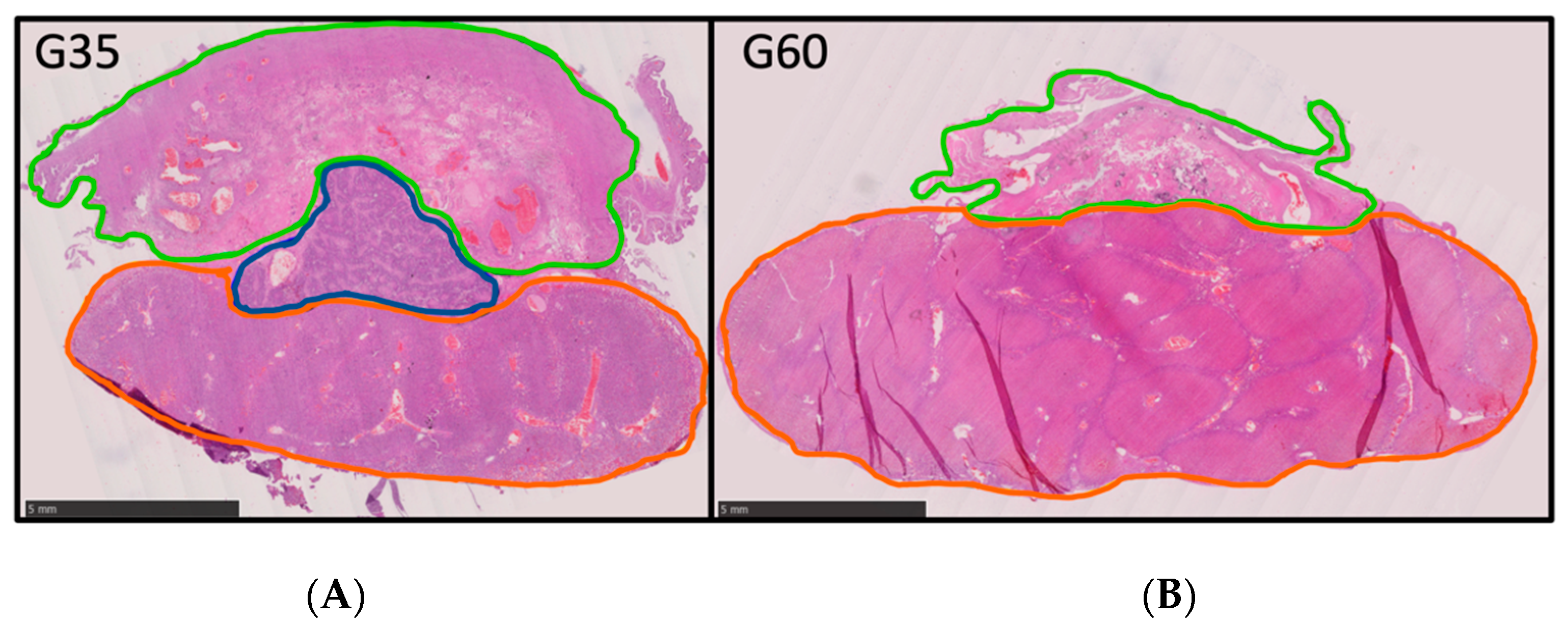 Vetsci 10 00144 g004 Vetsci 10 00144 g004