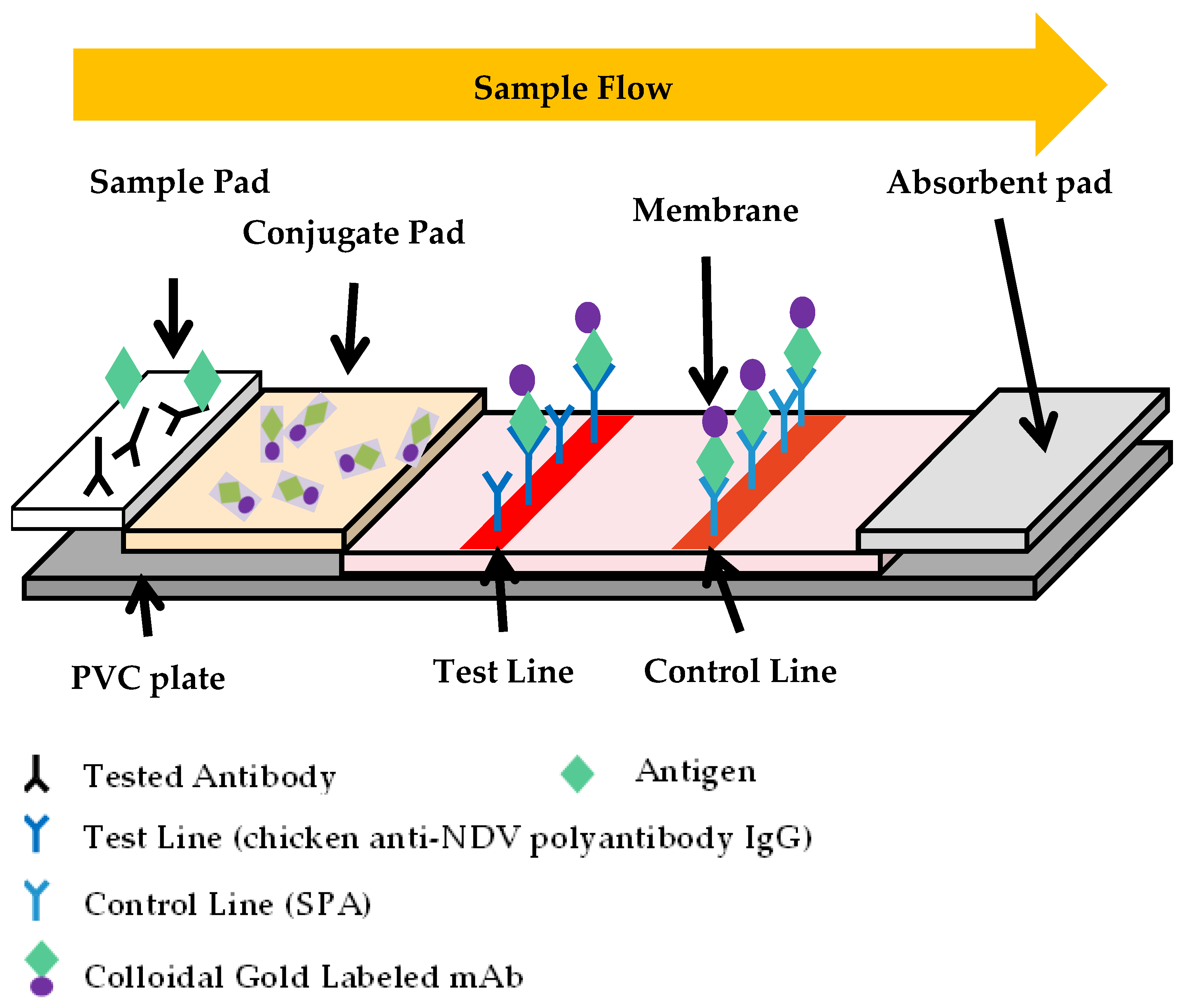 Vetsci 10 00152 g001