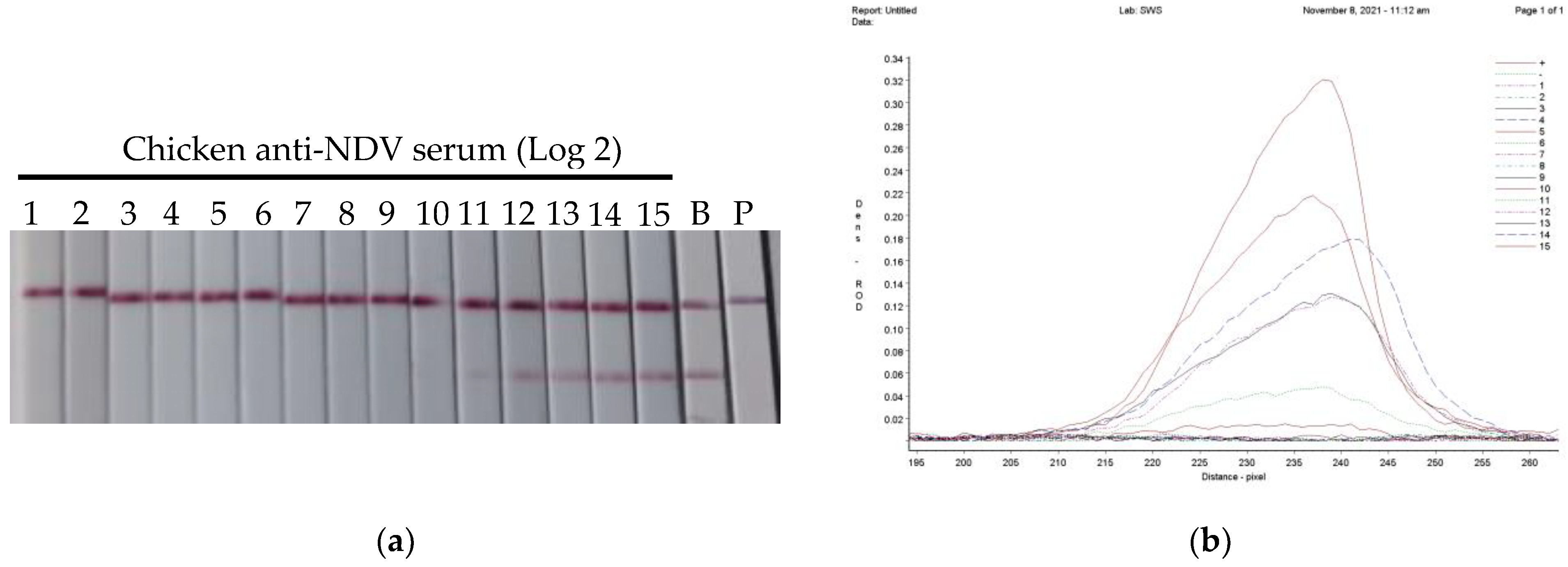 Vetsci 10 00152 g002