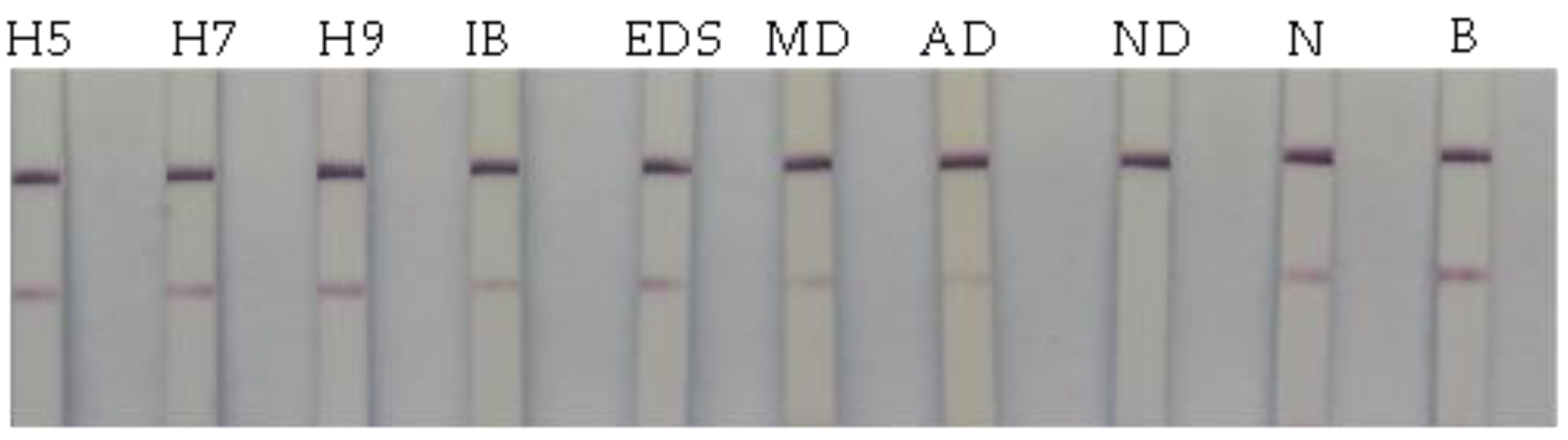 Vetsci 10 00152 g003