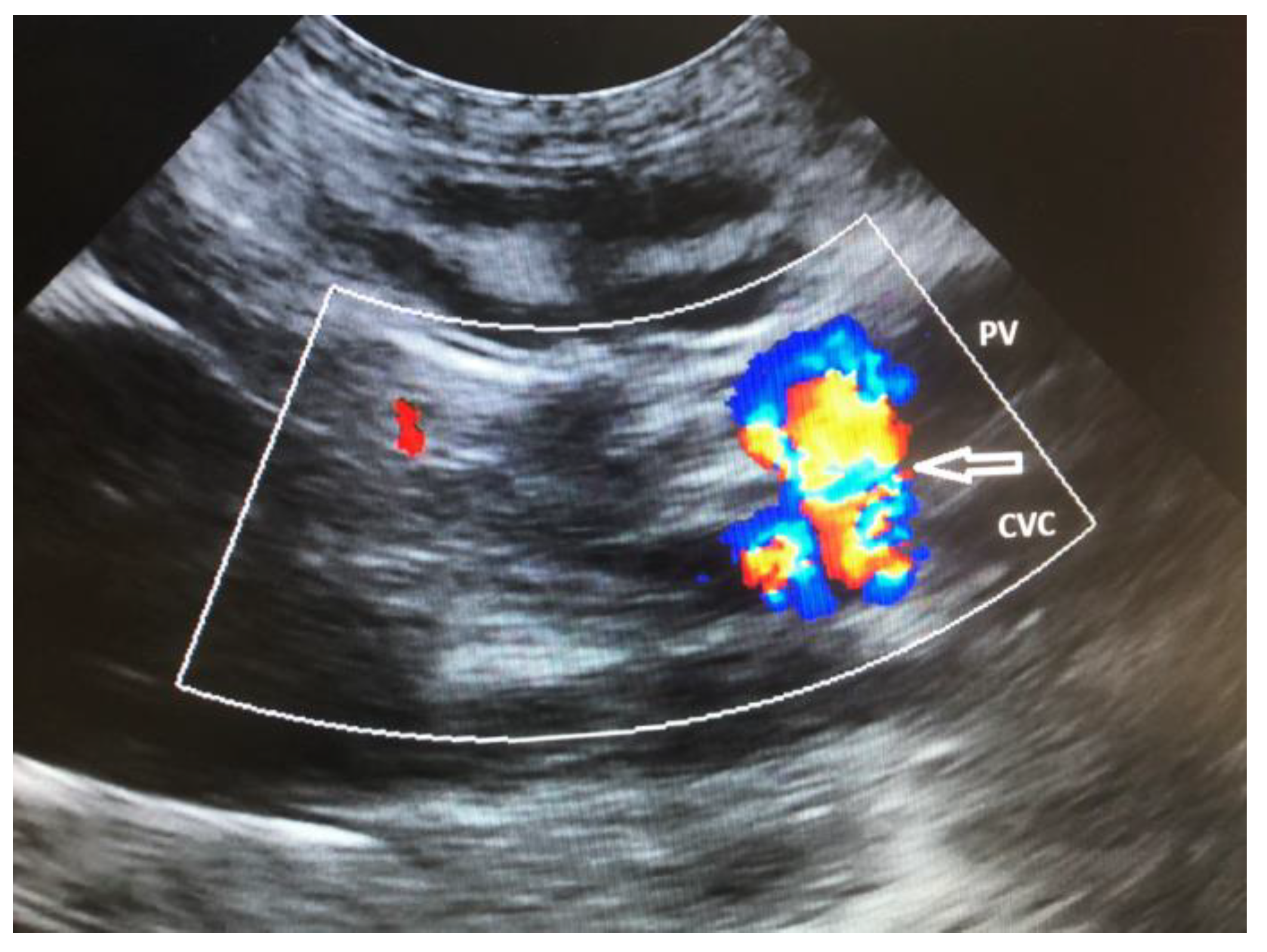 Vetsci 10 00160 g004