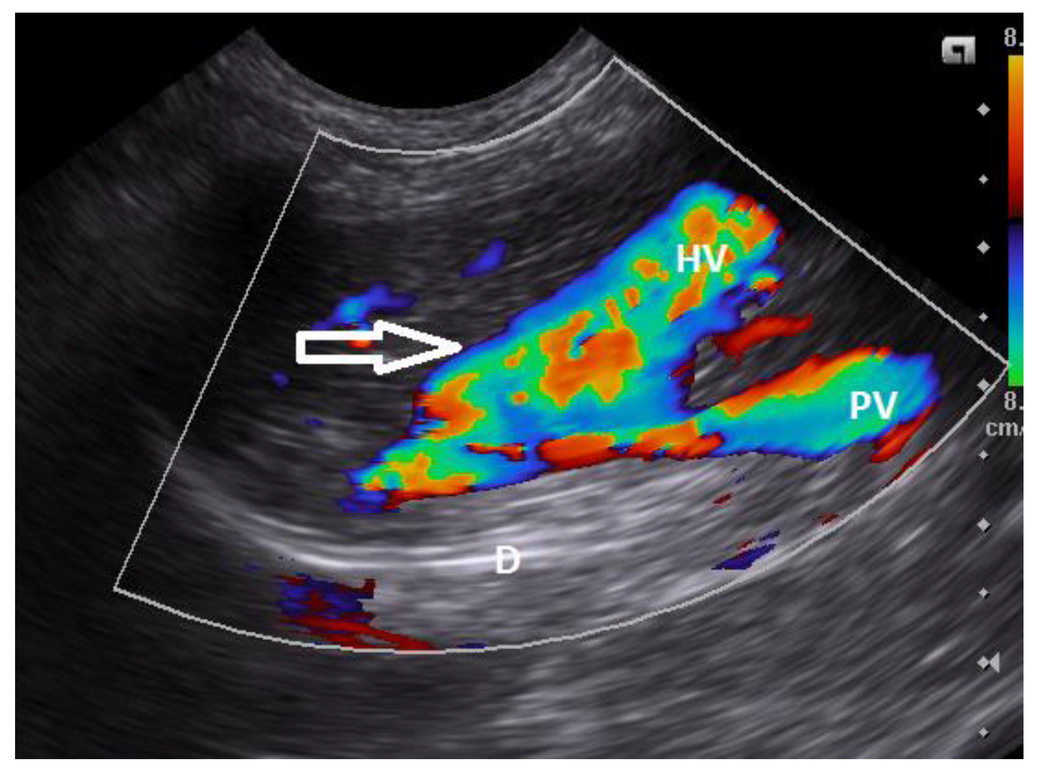 Vetsci 10 00160 g005