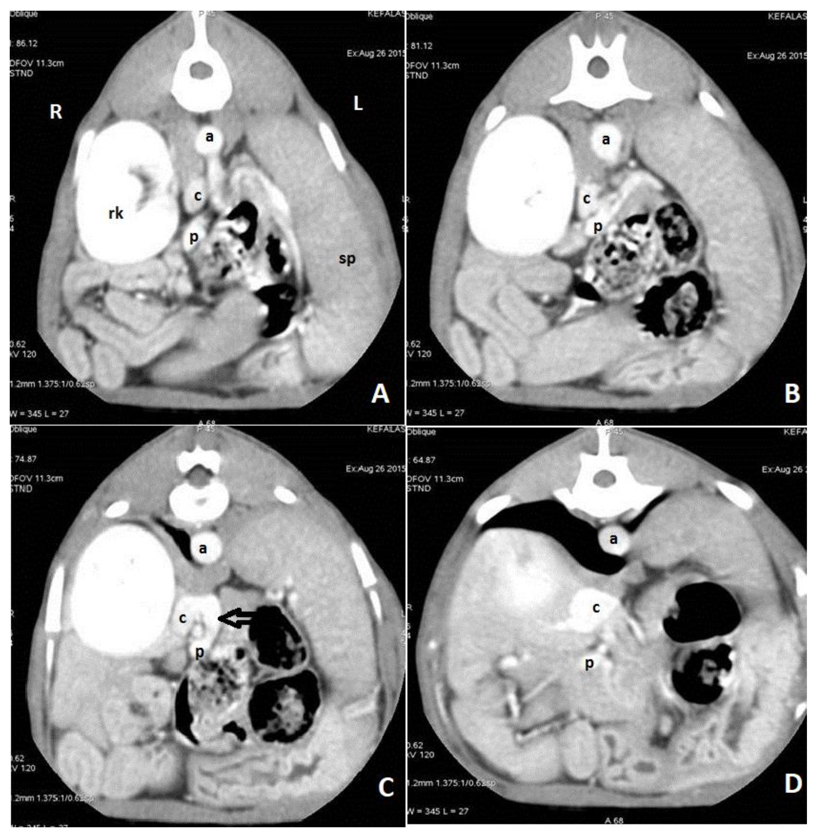 Vetsci 10 00160 g007