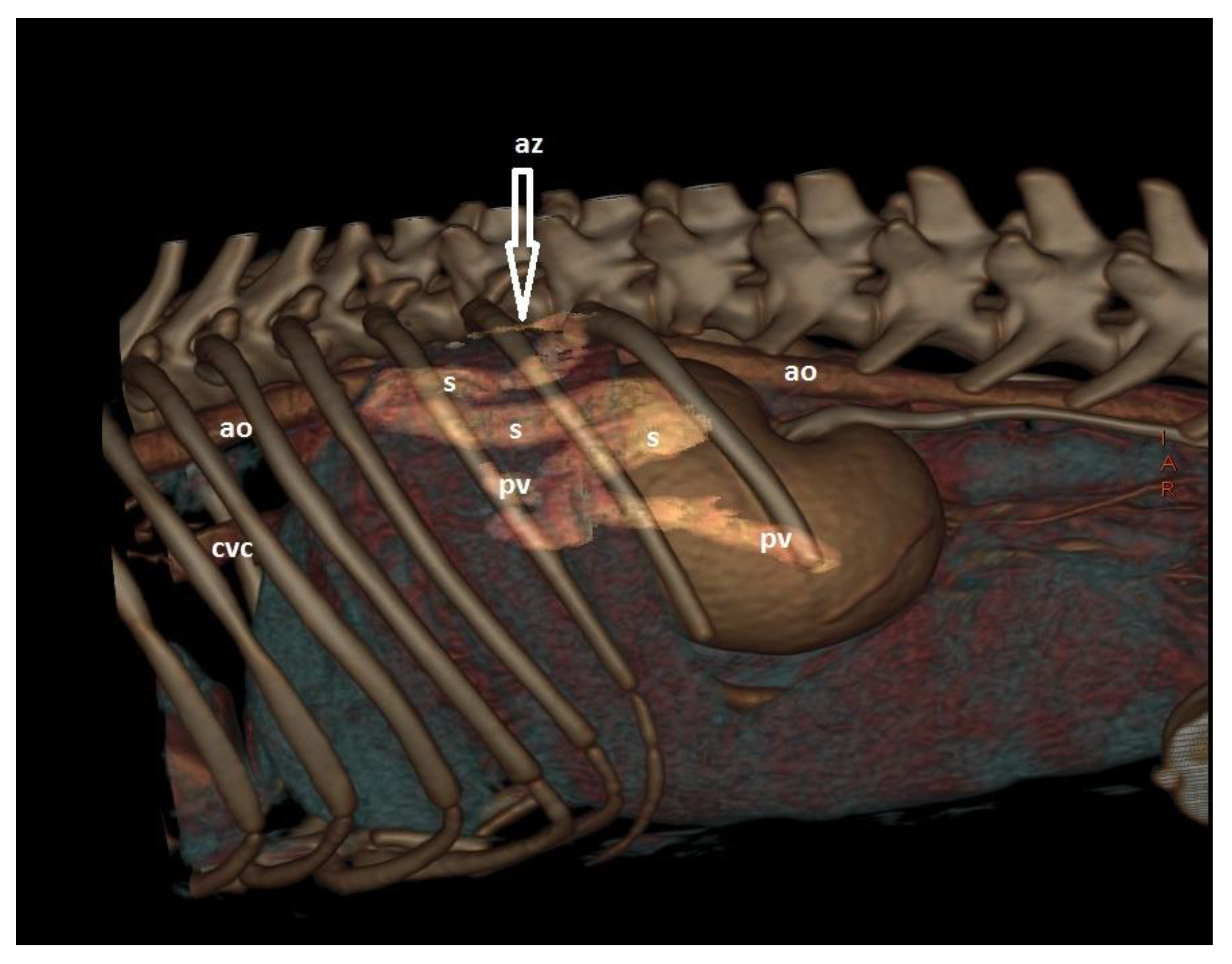 Vetsci 10 00160 g009